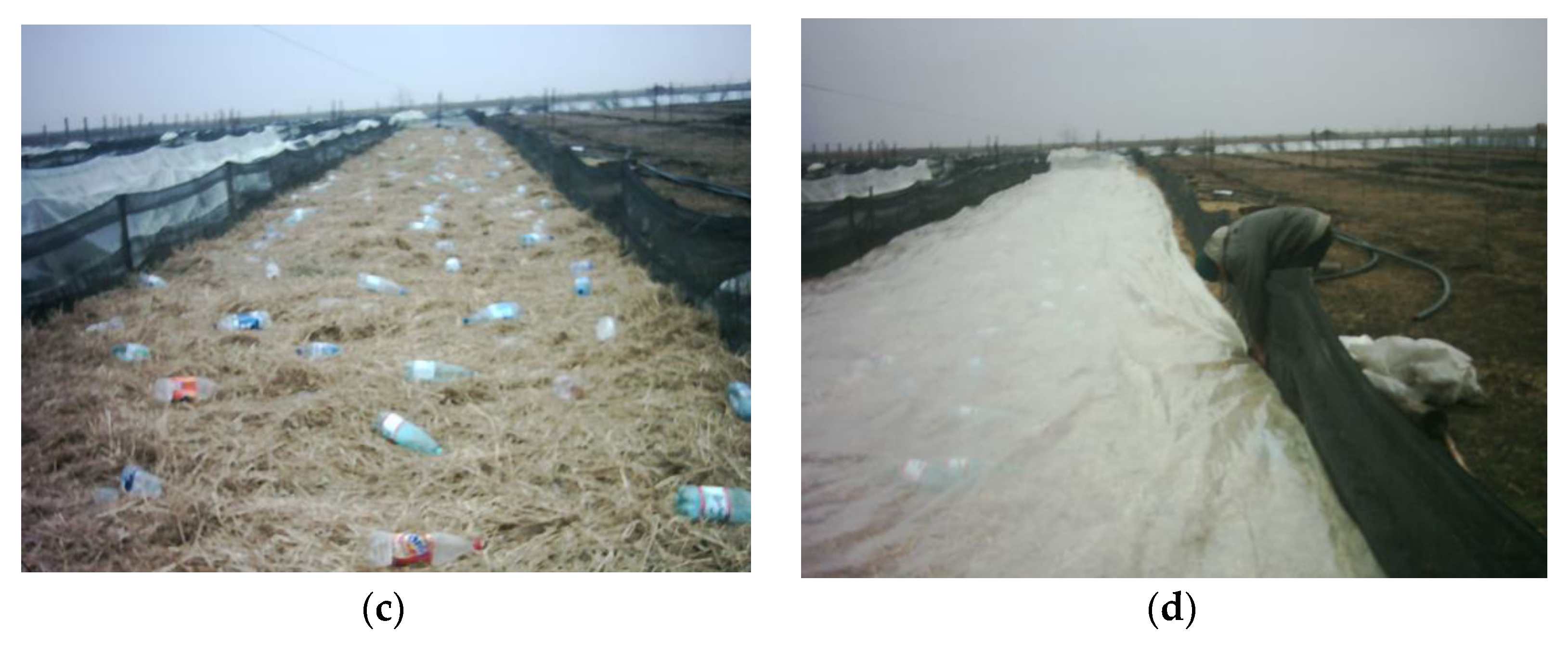 Animals 11 01420 g002b