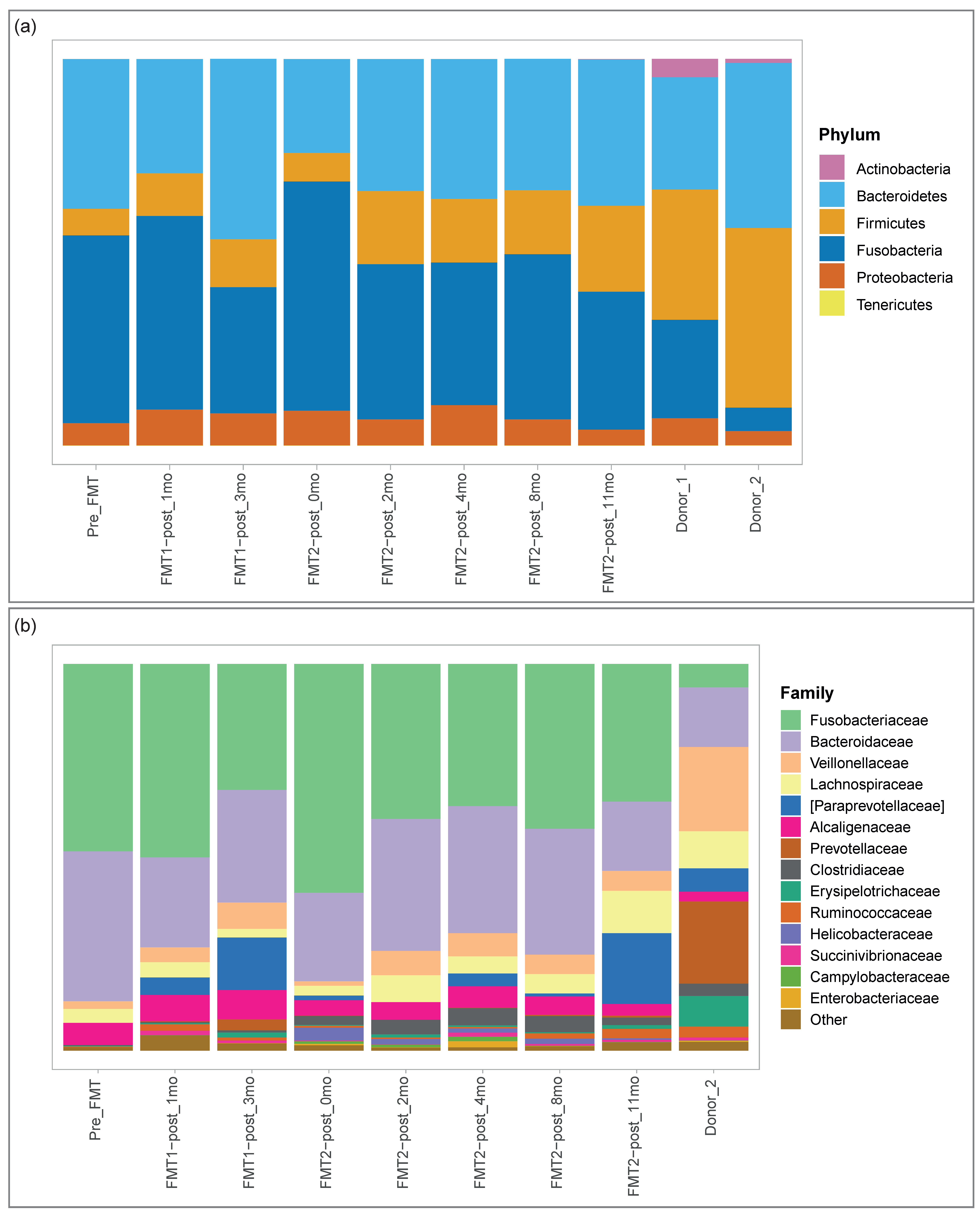 Animals 11 01433 g001