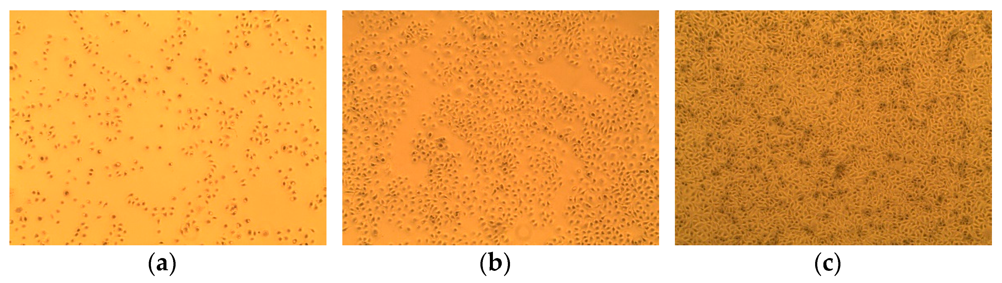 Animals 11 01444 g001