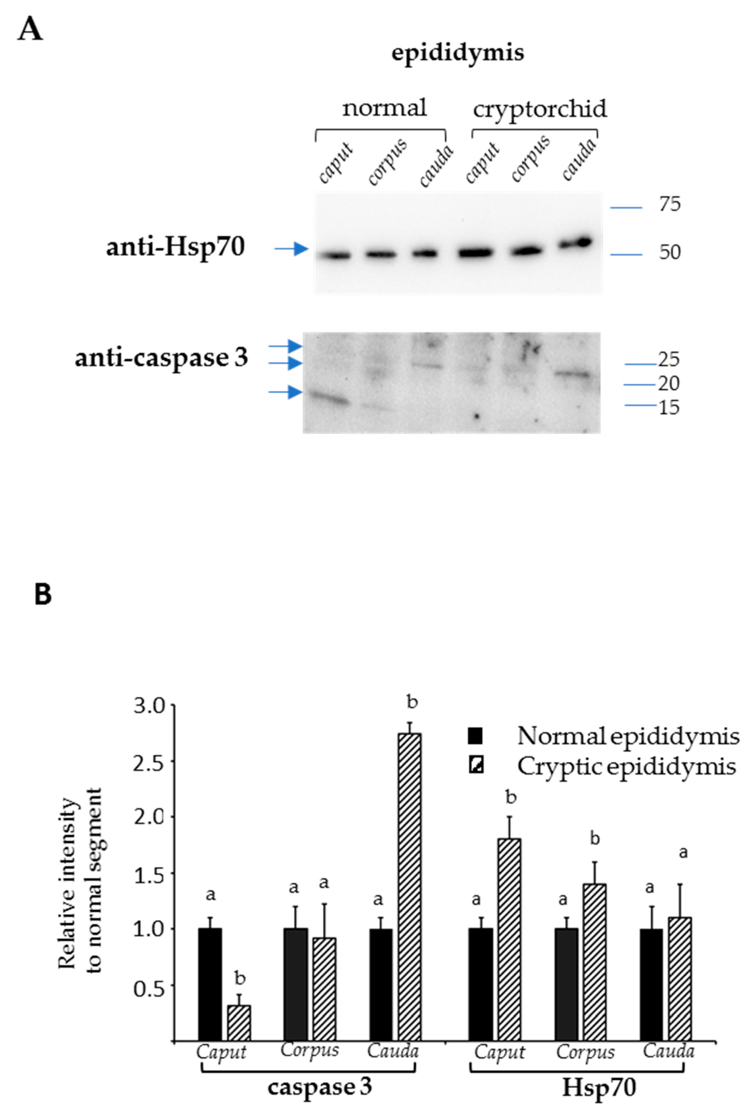 Animals 11 01539 g006 Animals 11 01539 g006