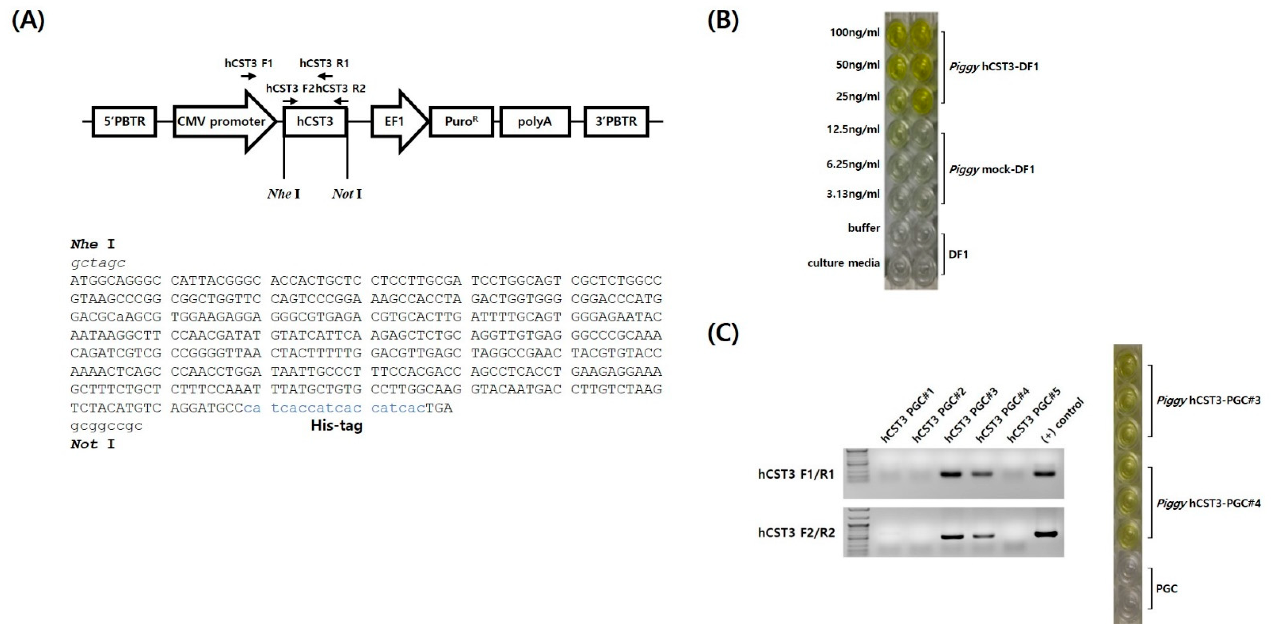 Animals 11 01554 g001