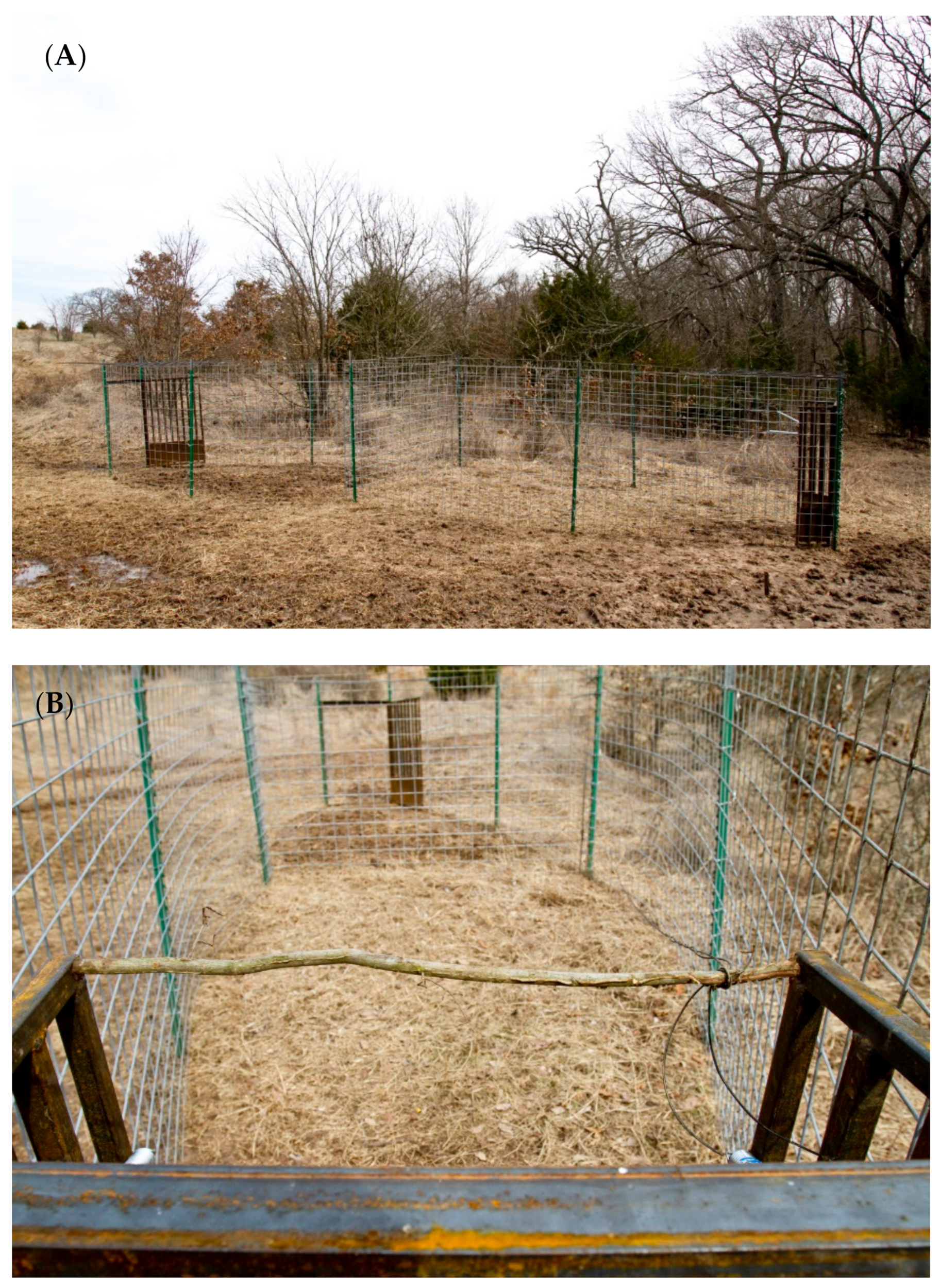 Animals | Free Full-Text | Effectiveness and Efficiency of Corral Traps,  Drop Nets and Suspended Traps for Capturing Wild Pigs (Sus scrofa)