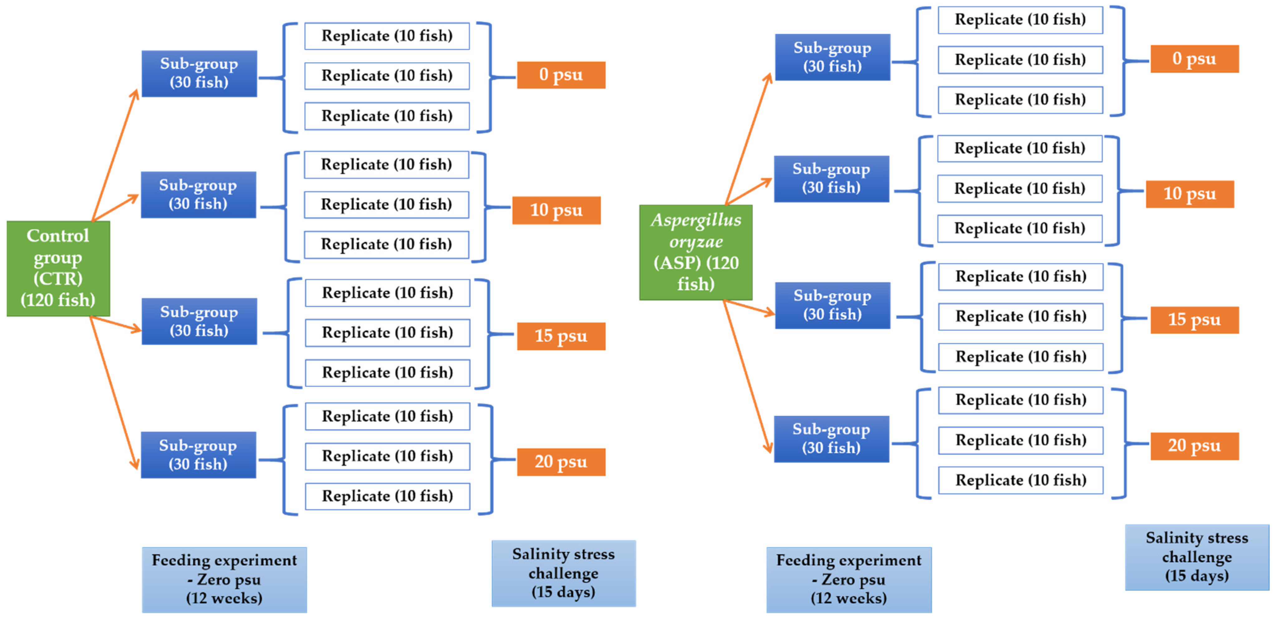 Animals 11 01621 g001