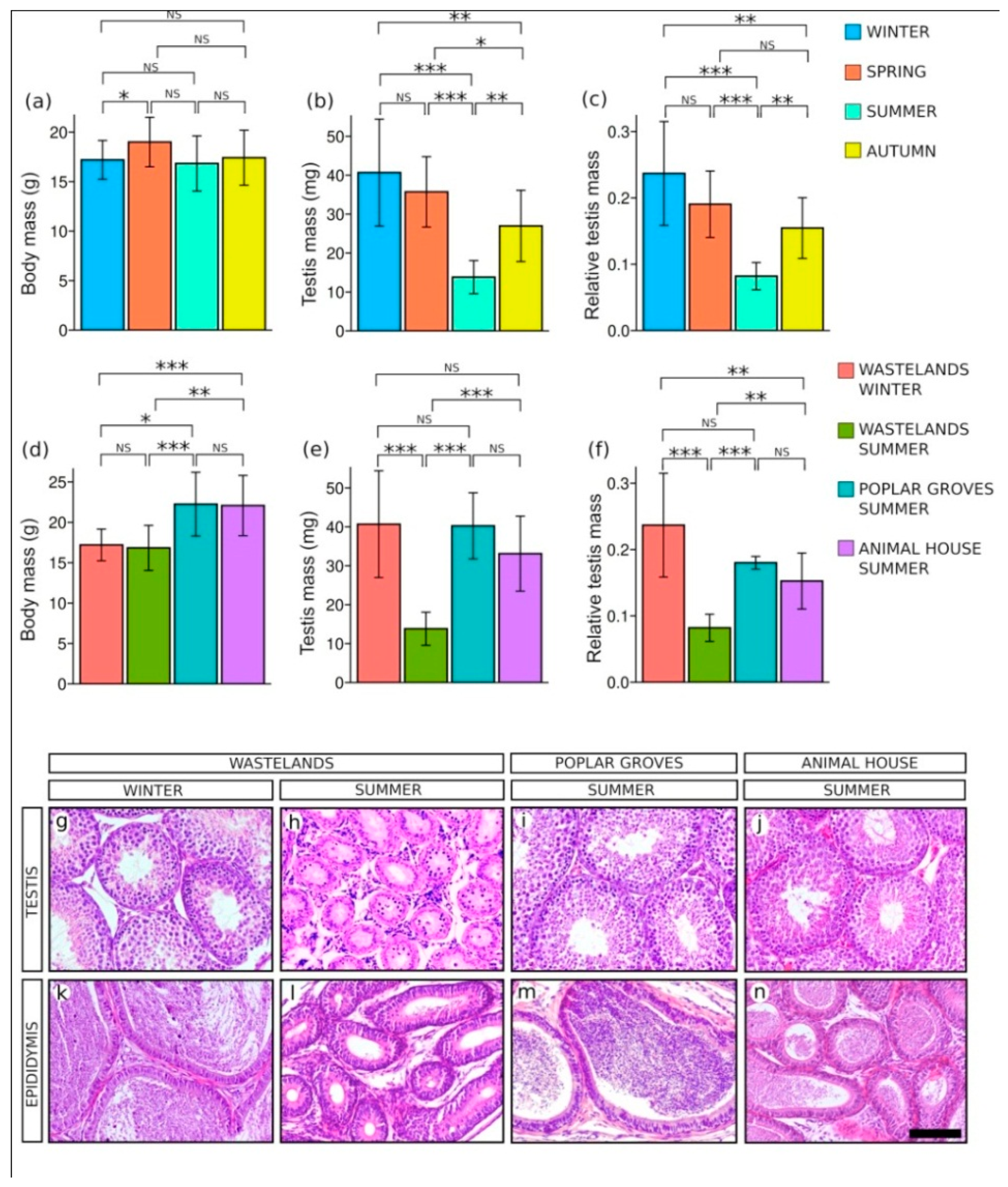 Animals 11 01639 g001 Animals 11 01639 g001