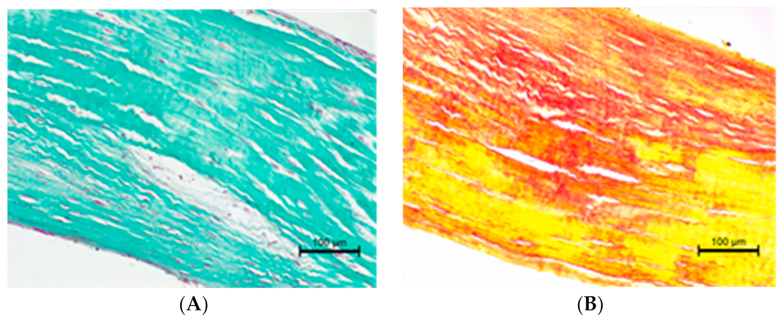 Animals 11 01678 g006