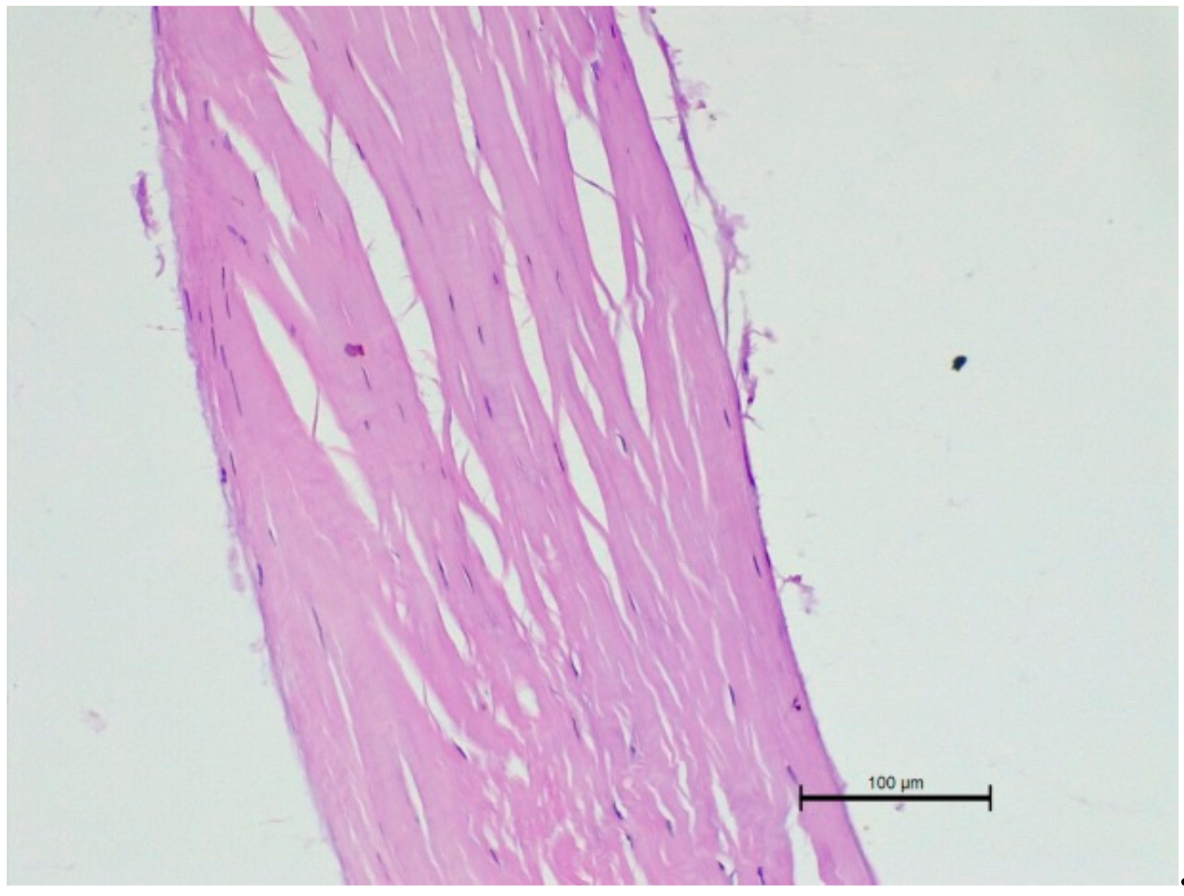 Animals 11 01678 g007