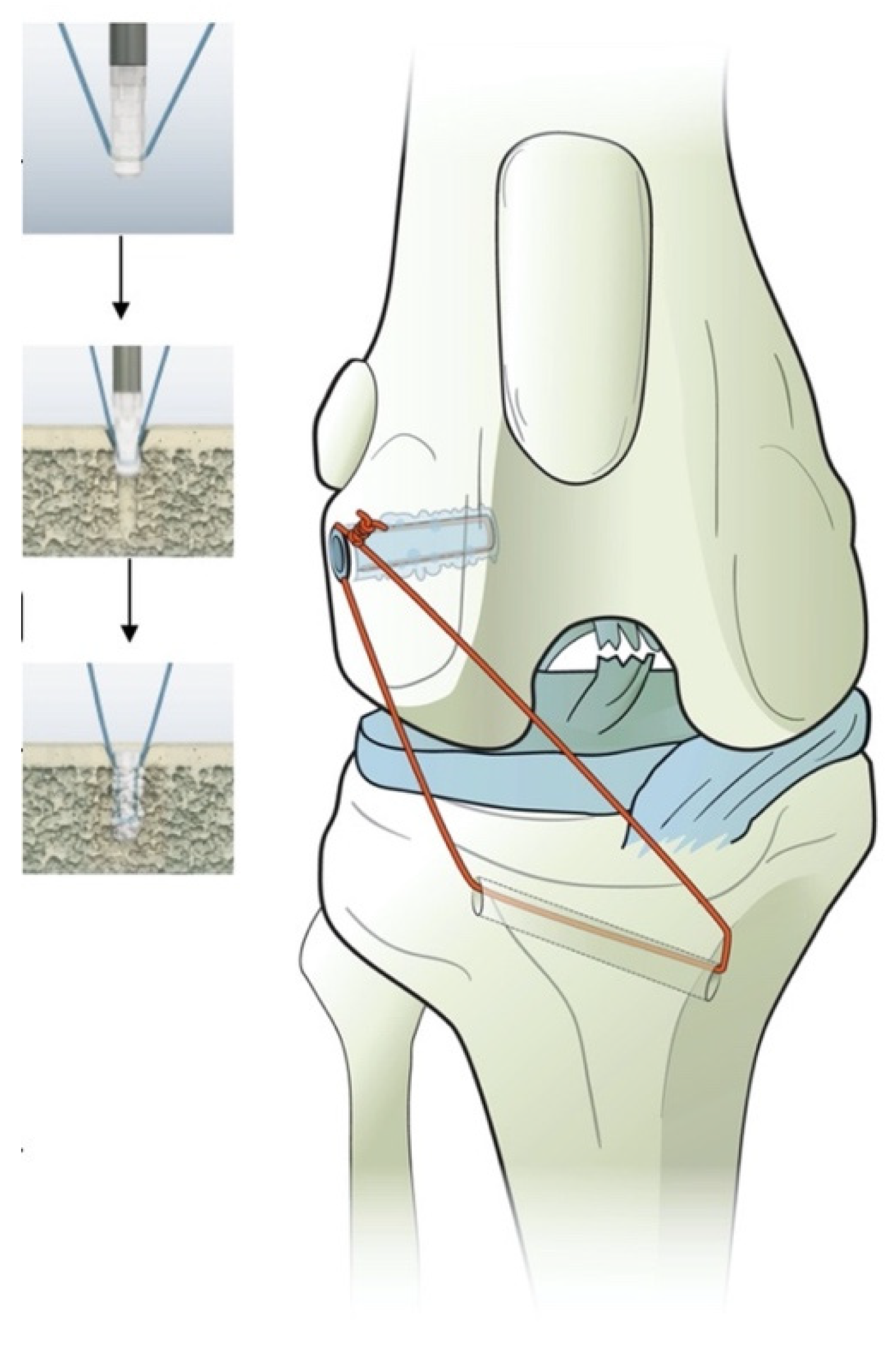 Animals 11 01695 g002