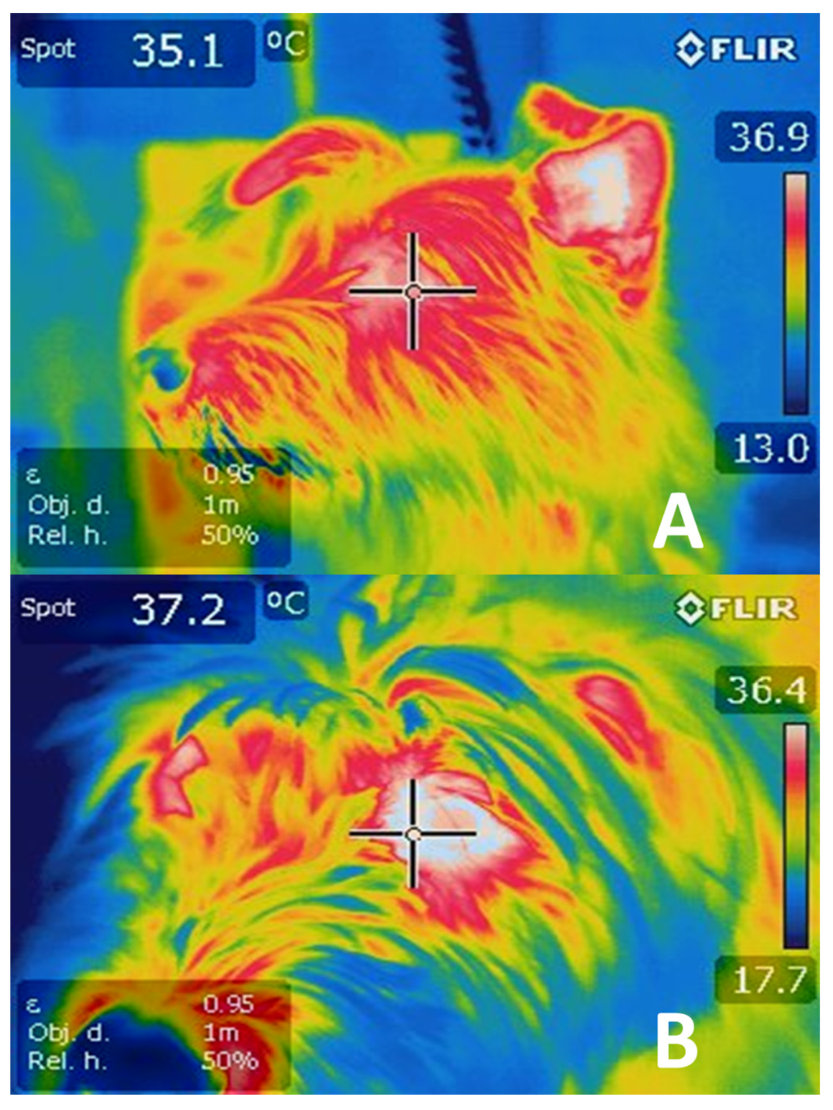 Animals 11 01733 g005