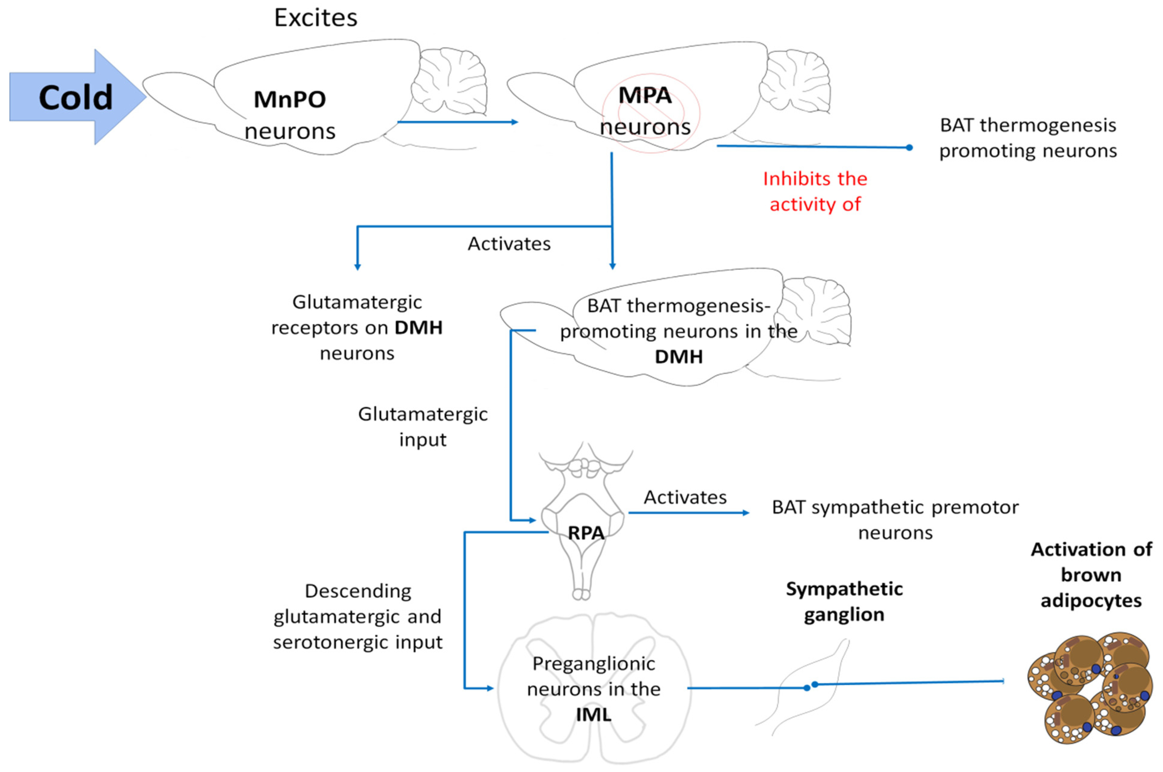 Animals 11 01733 g008