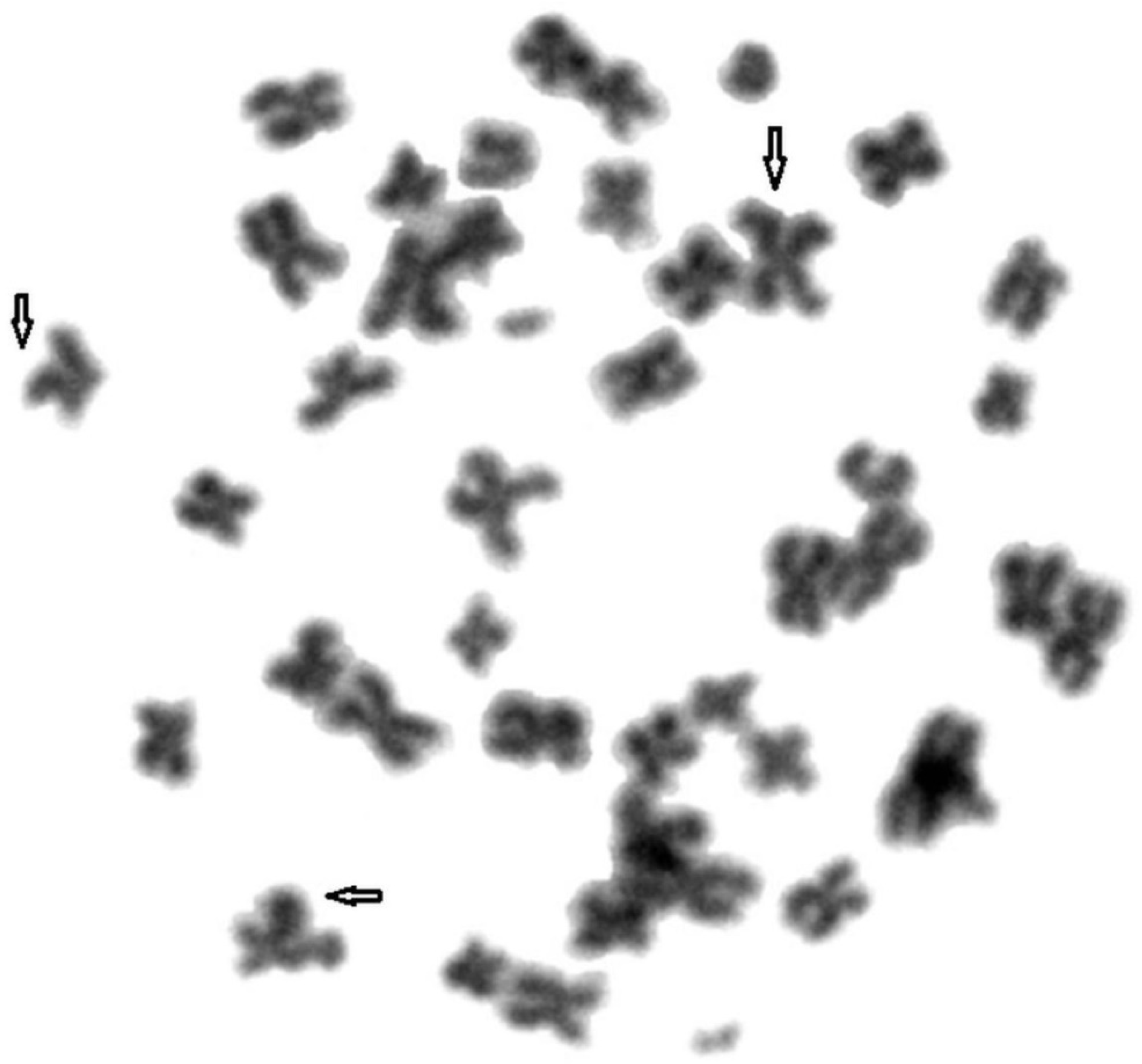 Animals 11 01743 g003