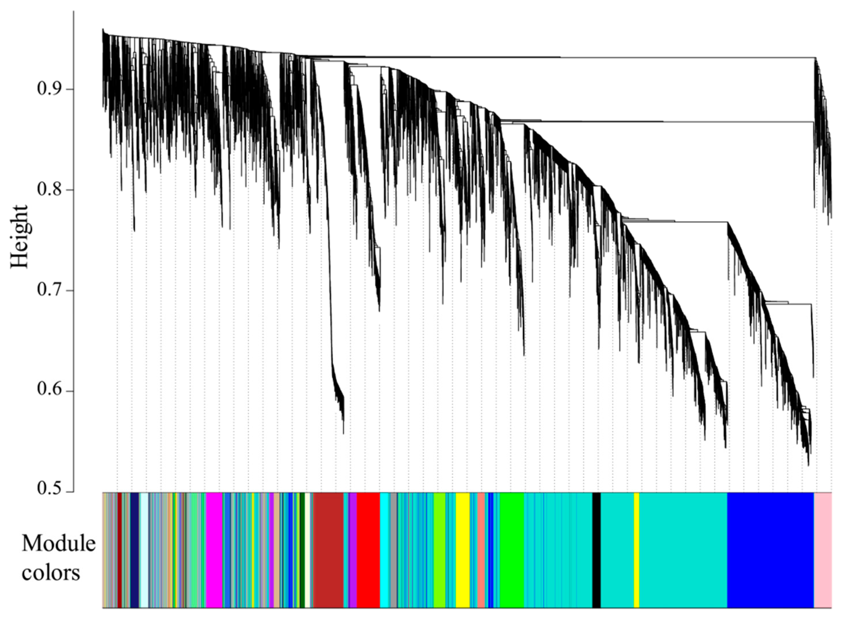 Animals 11 01745 g006