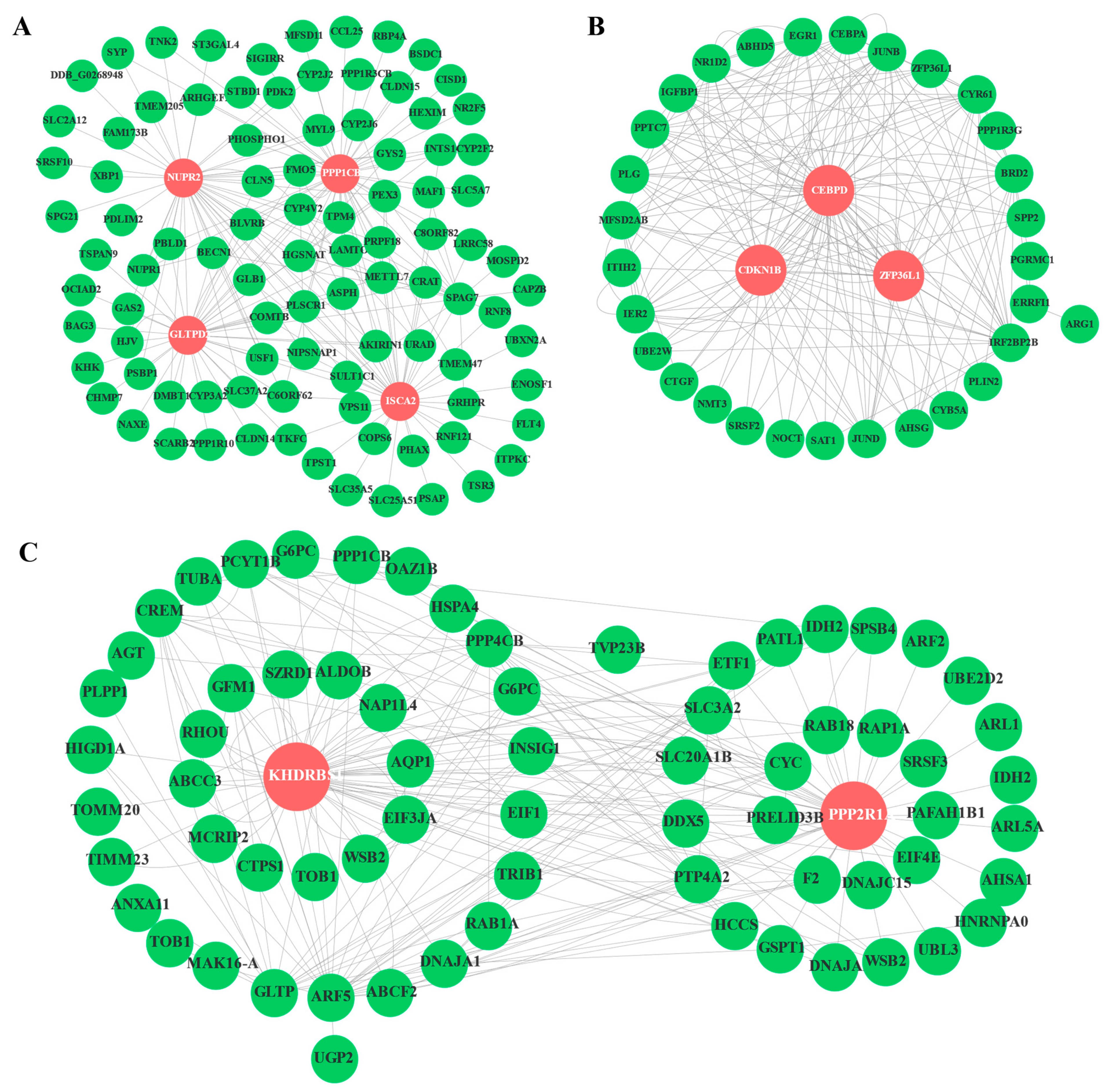 Animals 11 01745 g009