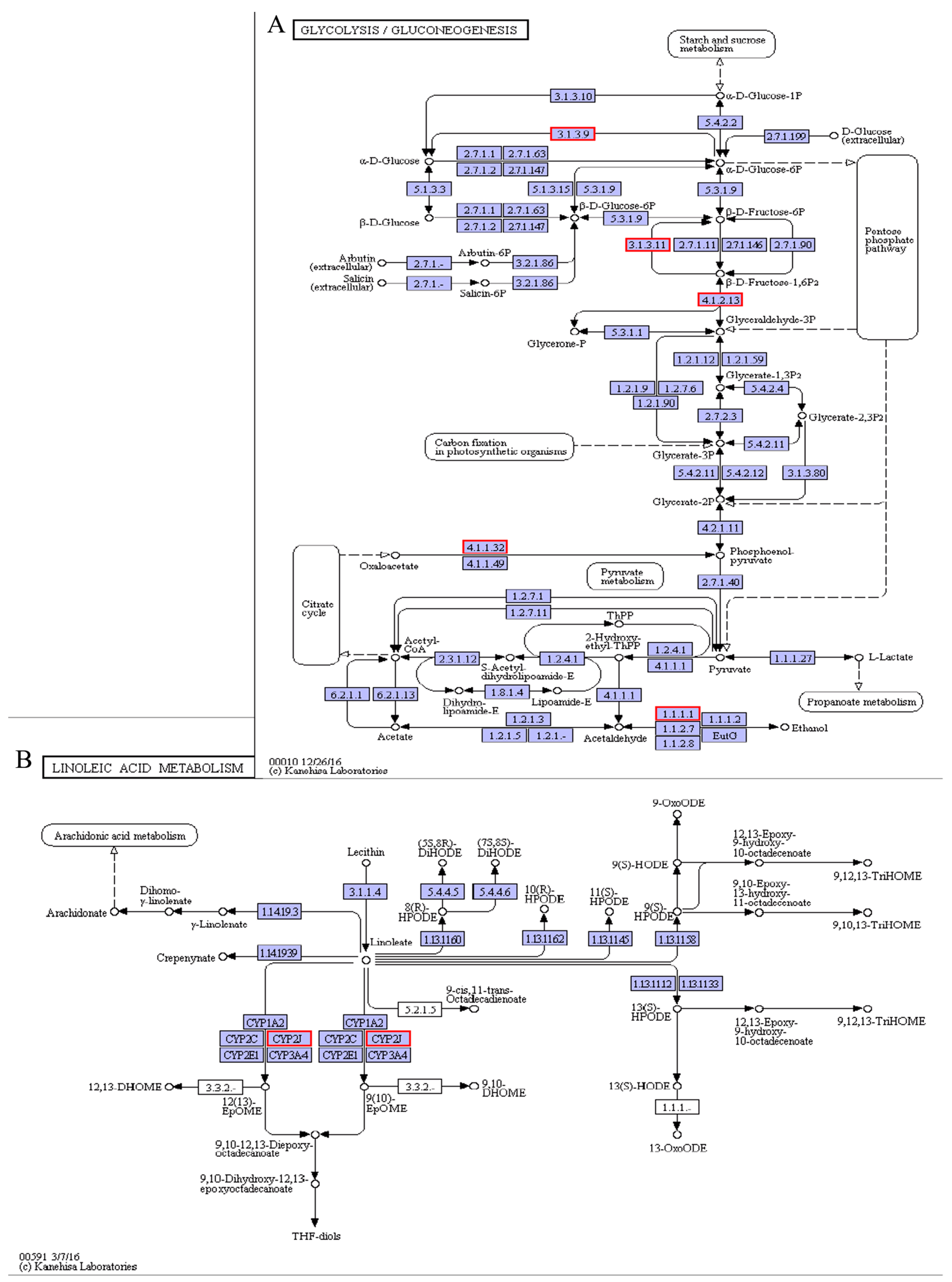 Animals 11 01745 g011