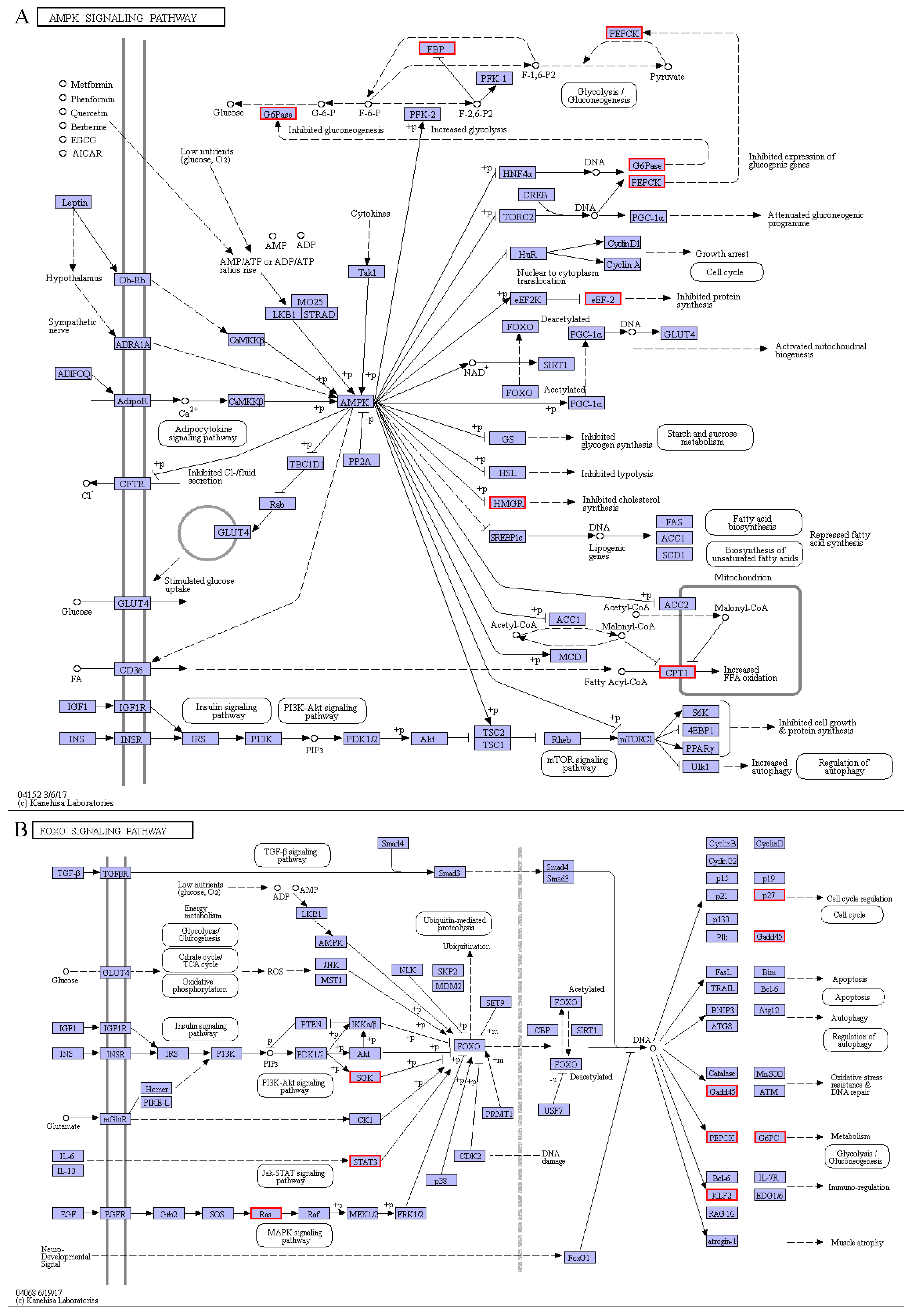 Animals 11 01745 g012