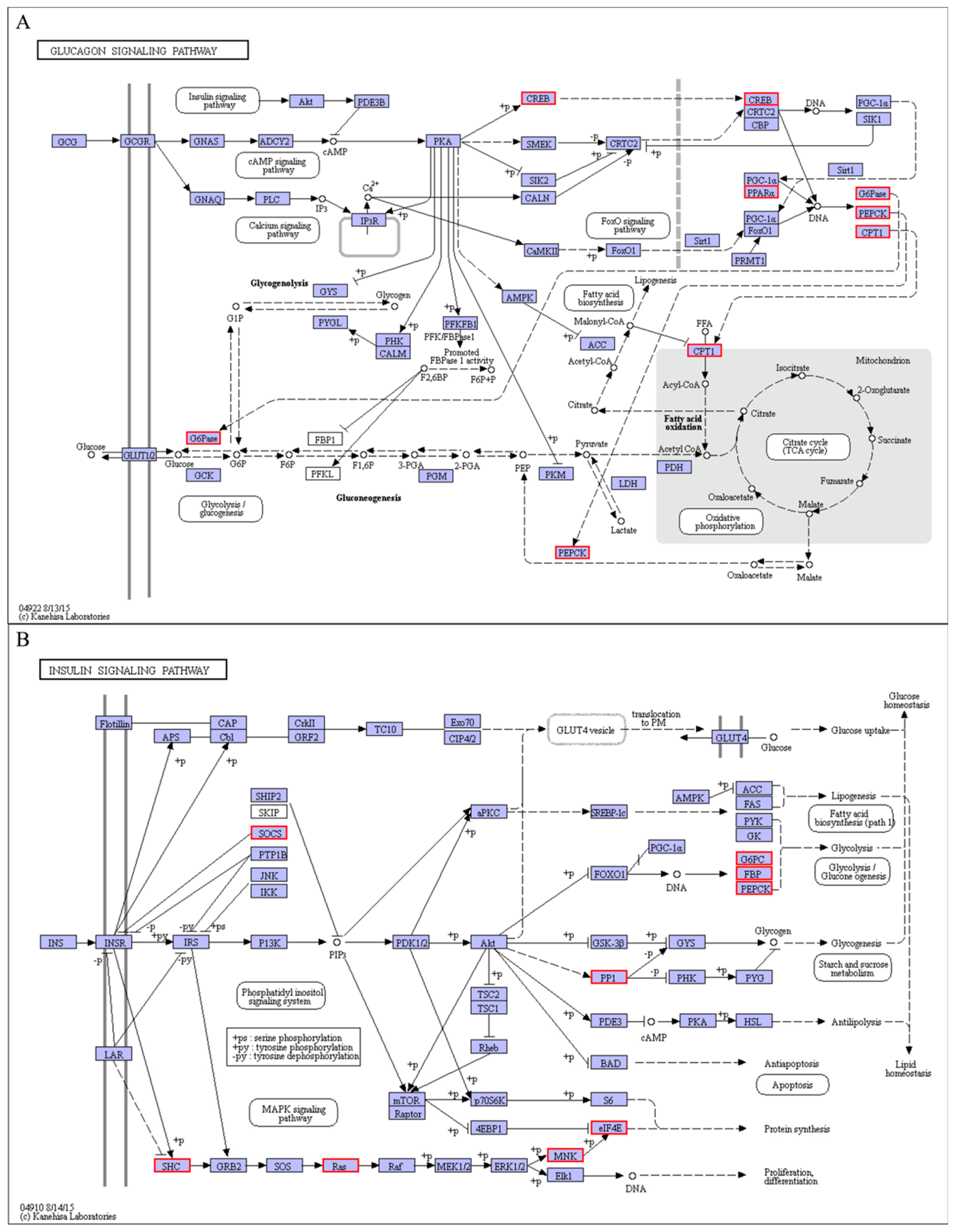 Animals 11 01745 g013