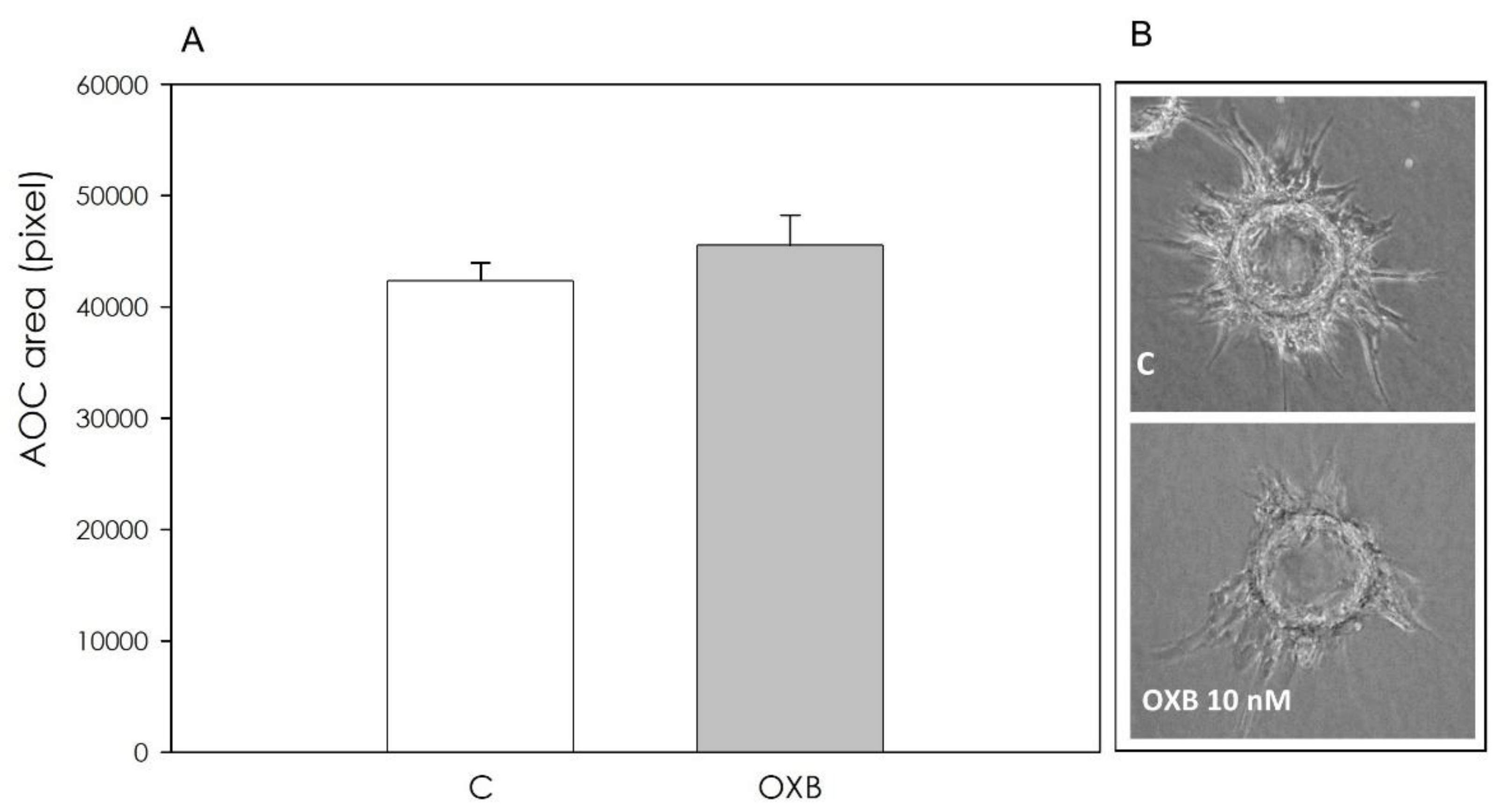Animals 11 01812 g008 Animals 11 01812 g008