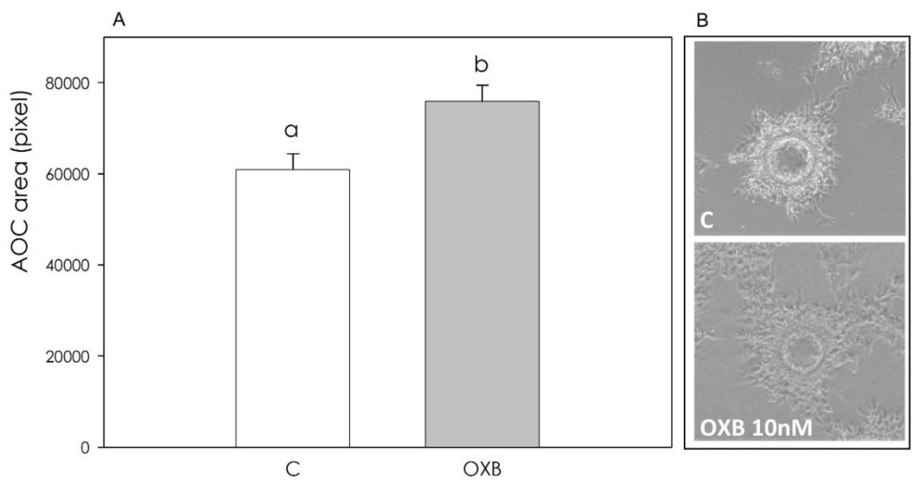 Animals 11 01812 g009 Animals 11 01812 g009