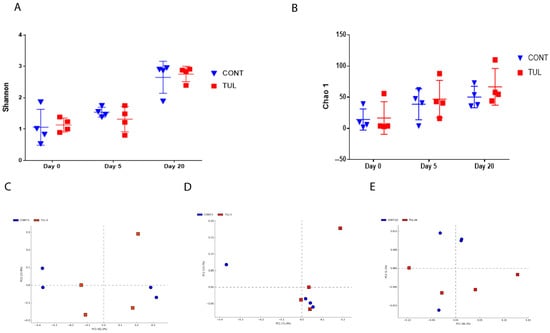 Animals | Free Full-Text | Metagenomic Analysis of the Fecal Archaeome in  Suckling Piglets Following Perinatal Tulathromycin Metaphylaxis