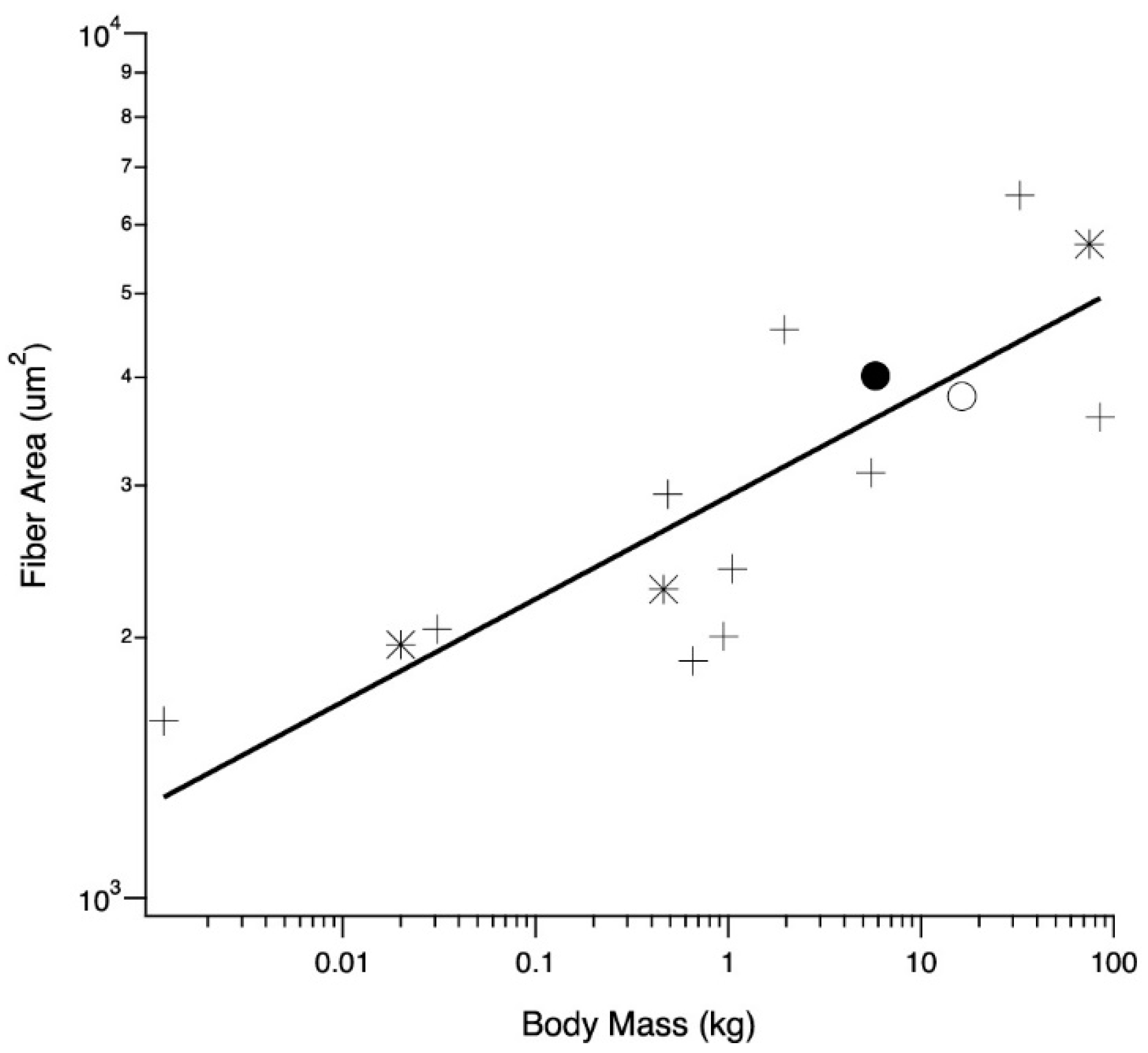 Animals 11 01850 g005