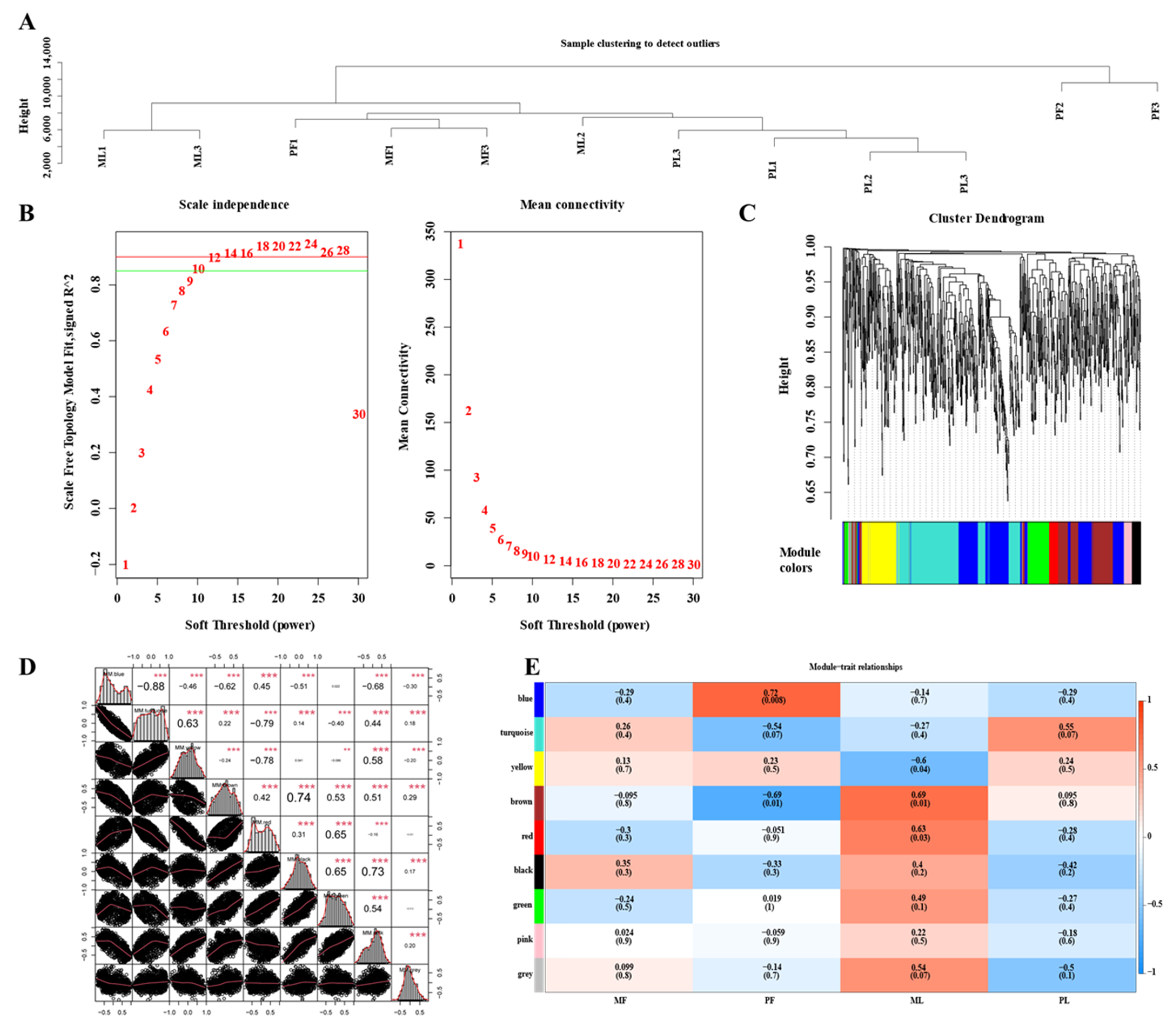 Animals 11 01863 g005