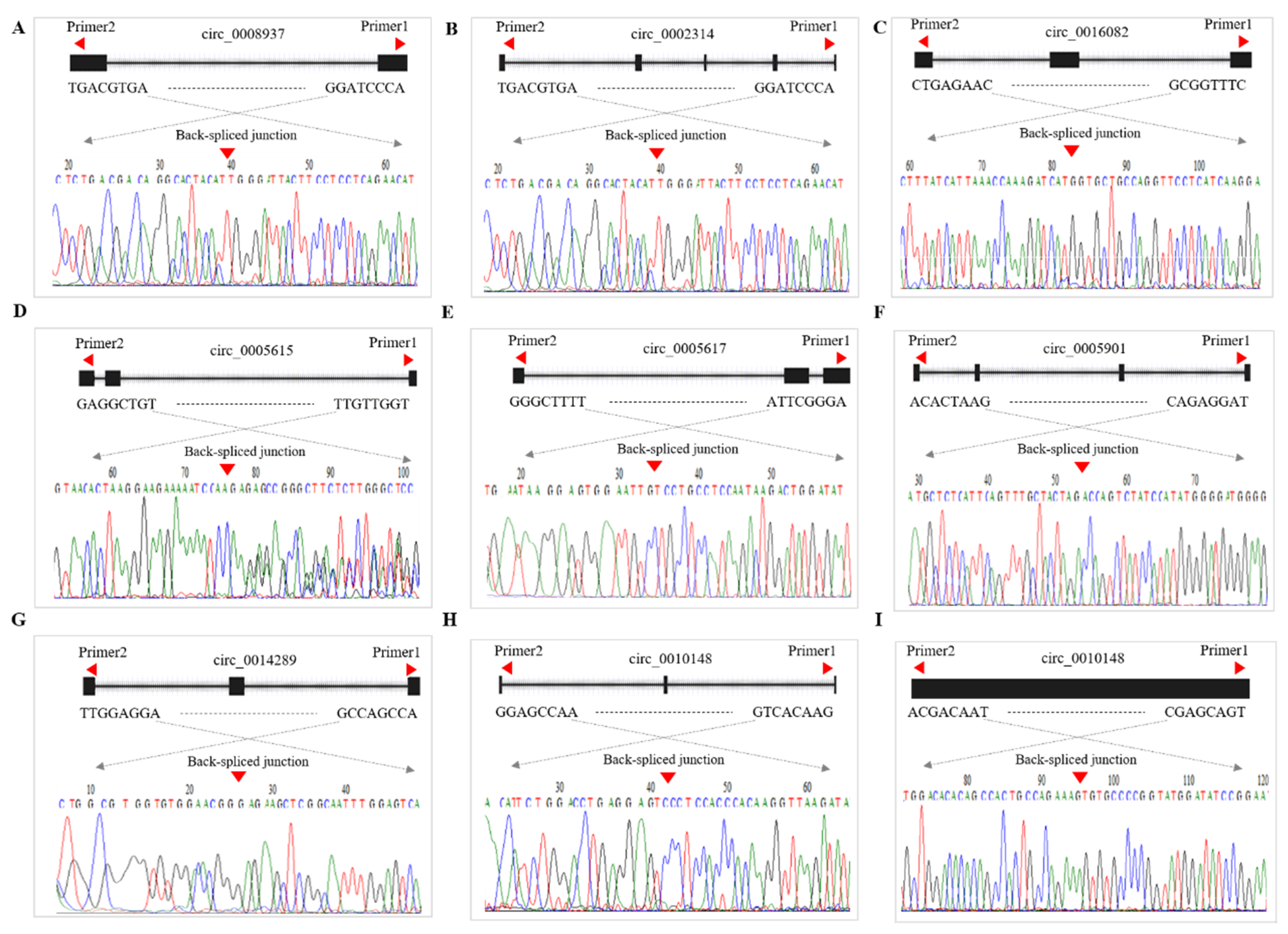 Animals 11 01863 g007