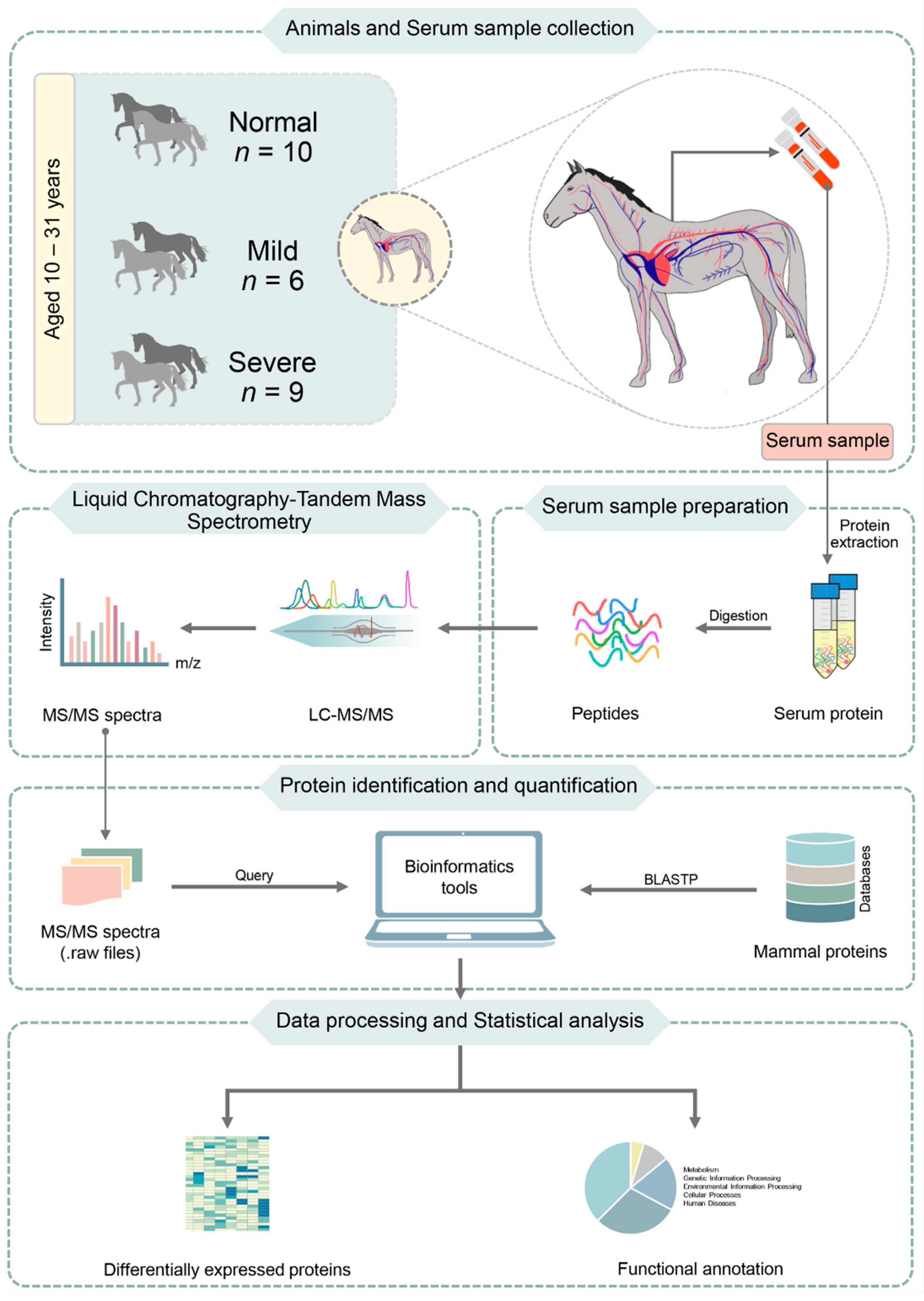 Animals 11 01913 g001