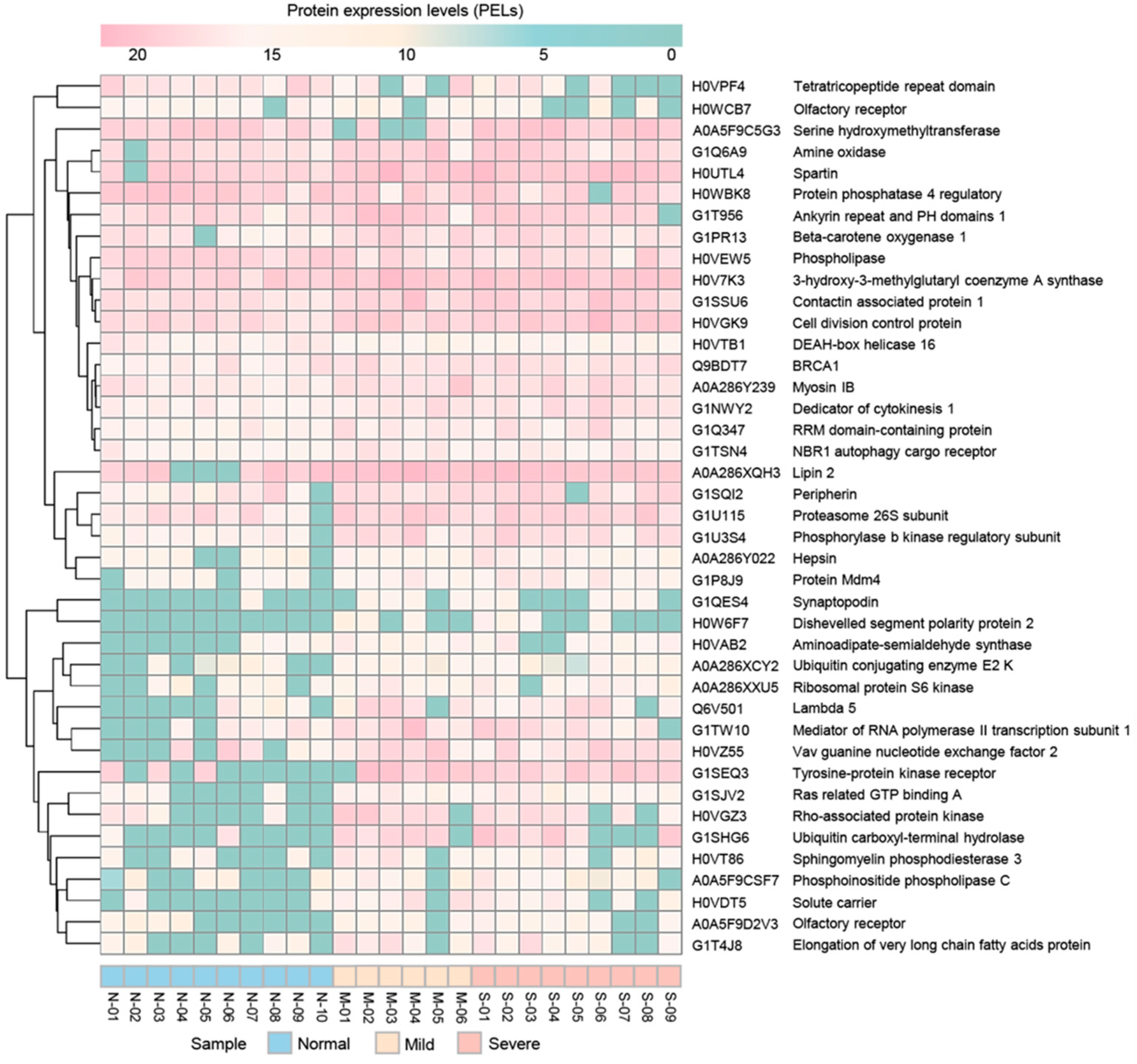 Animals 11 01913 g002