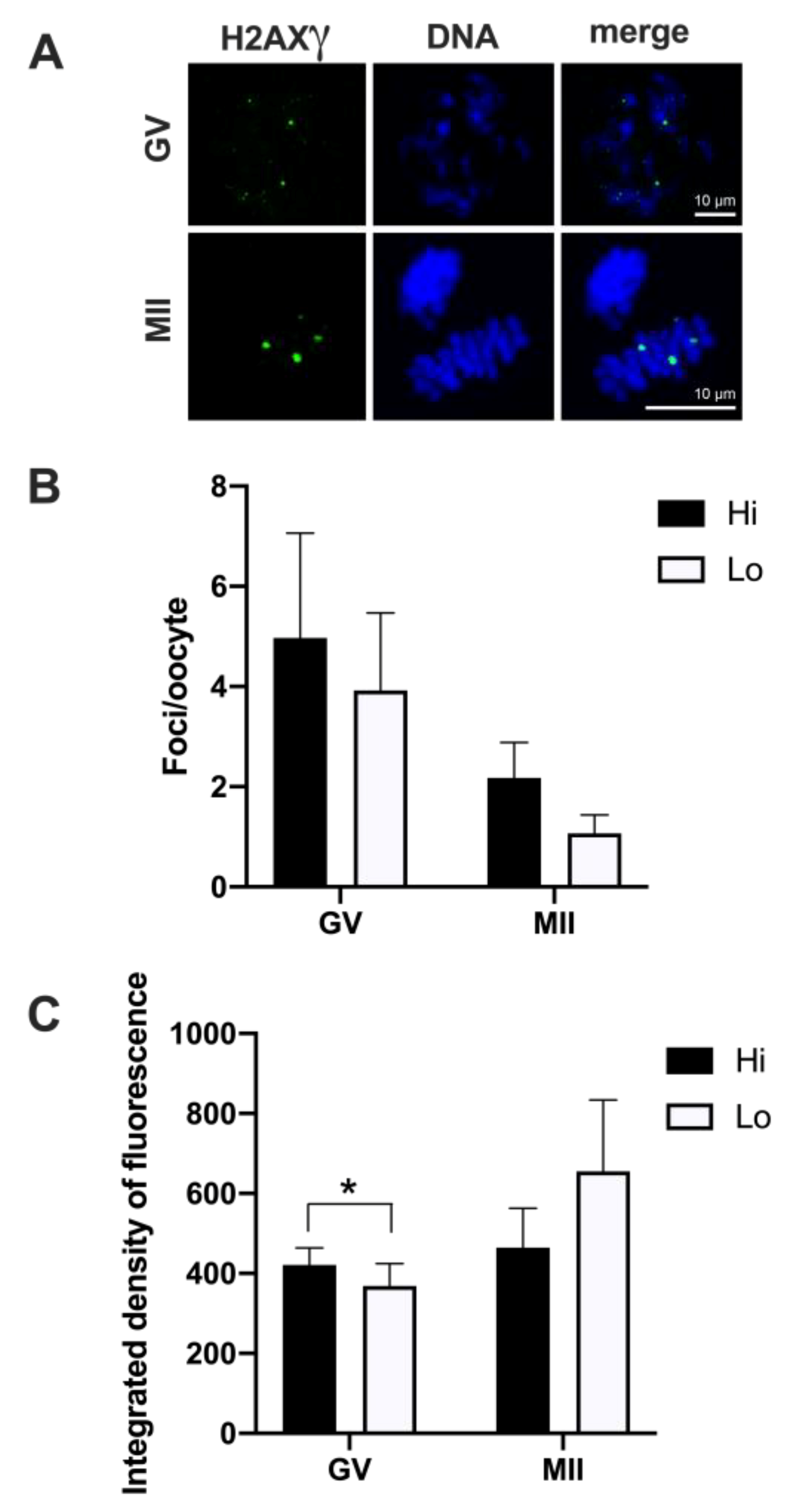 Animals 11 01936 g003 Animals 11 01936 g003