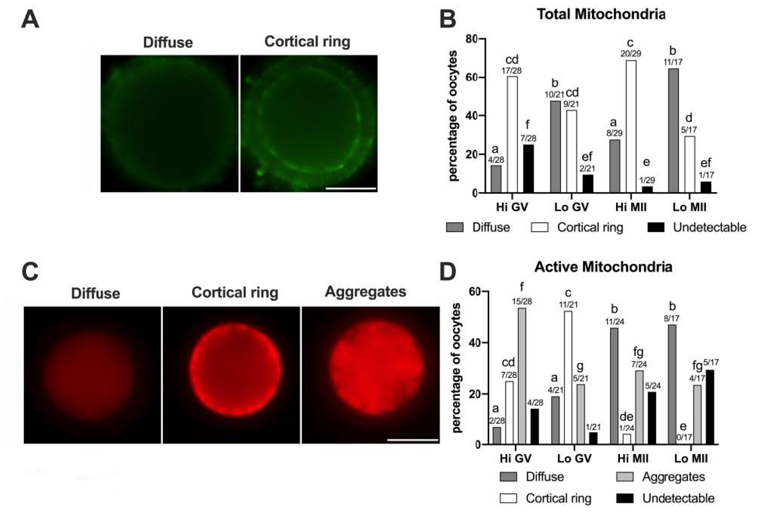 Animals 11 01936 g005 Animals 11 01936 g005