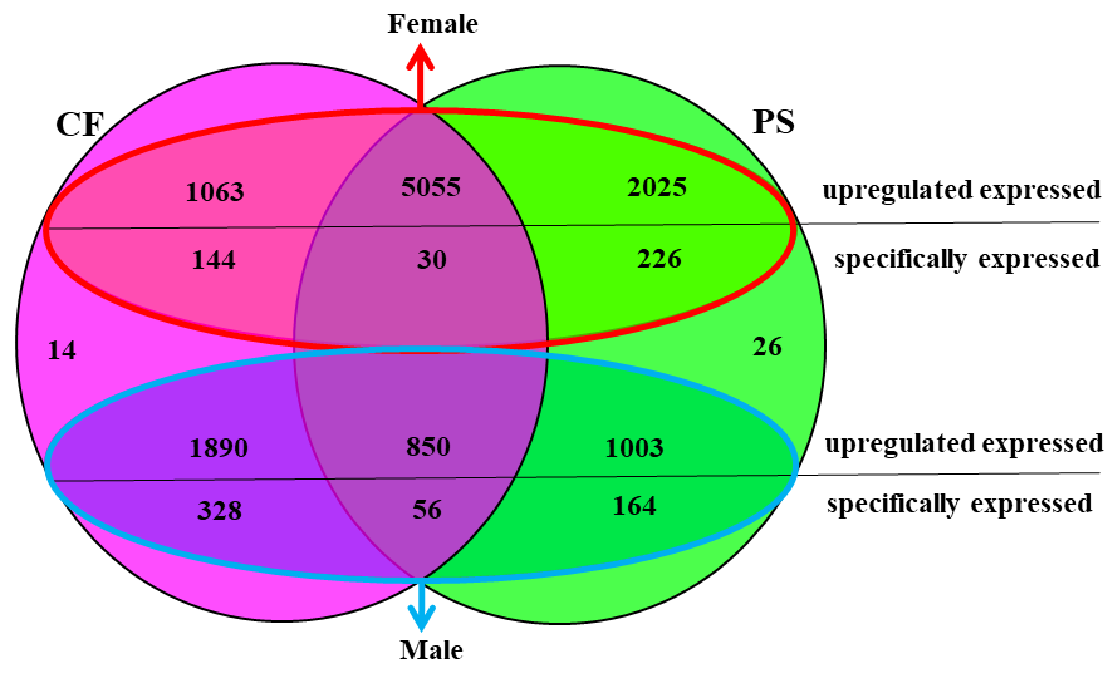 Animals 11 01946 g005