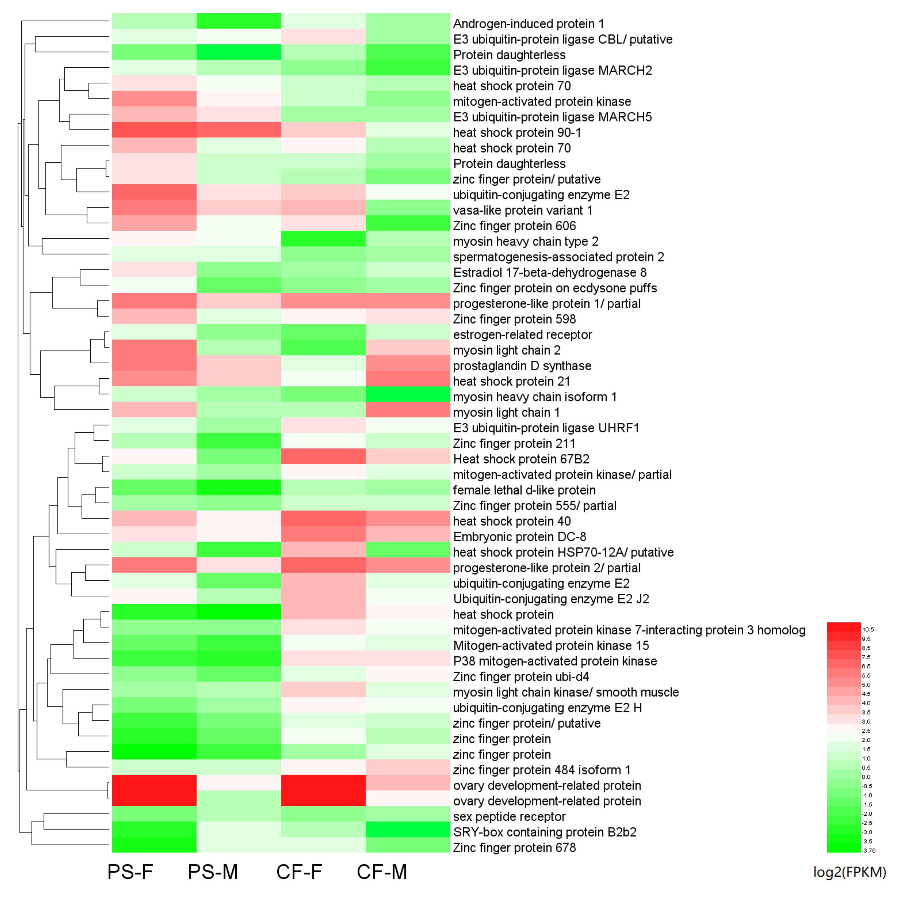 Animals 11 01946 g006