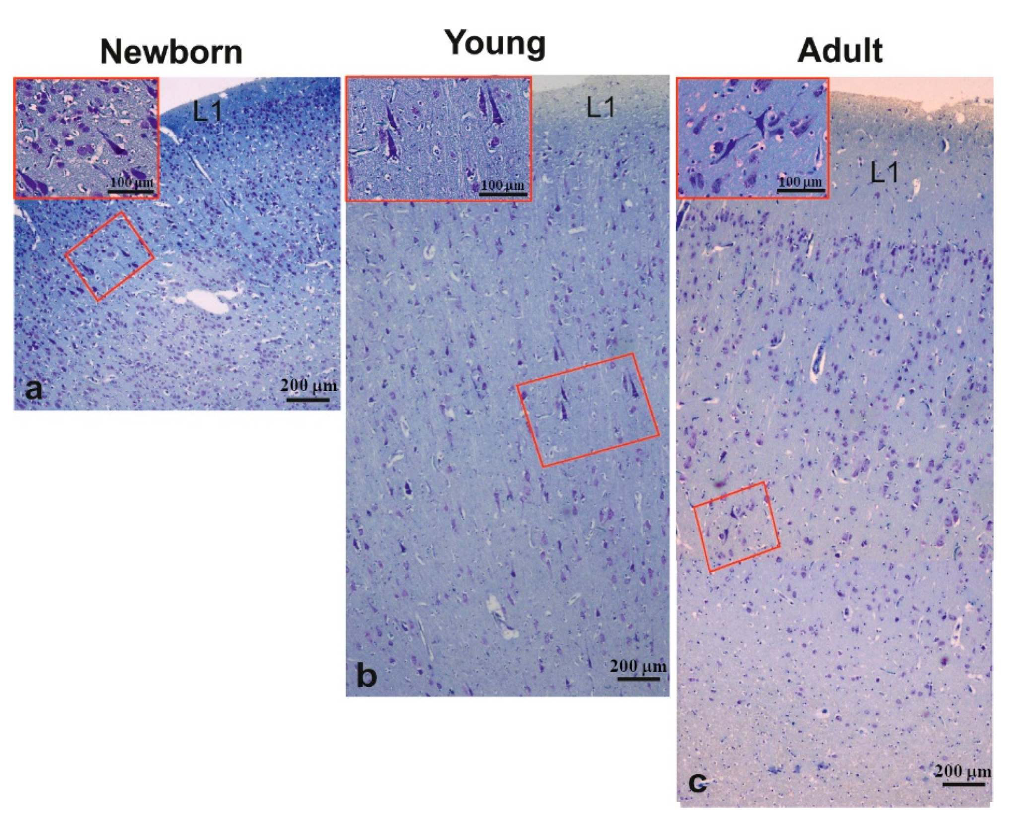 Animals 11 02019 g003