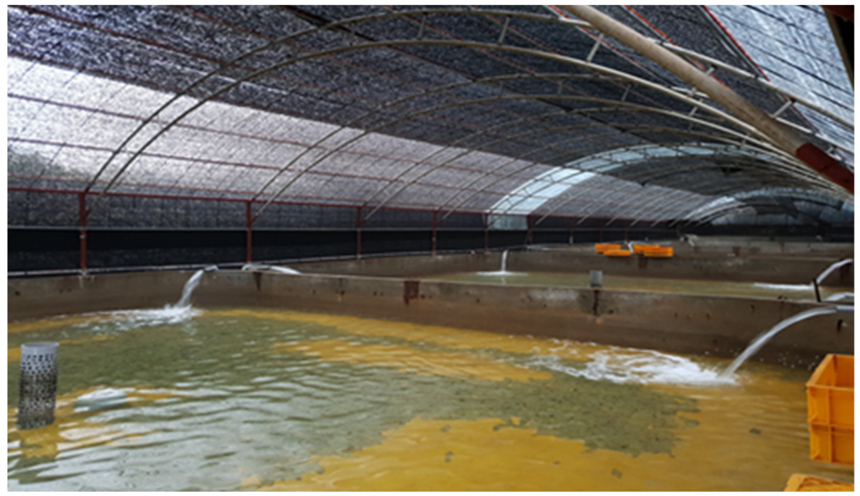 Animals 11 02055 g001