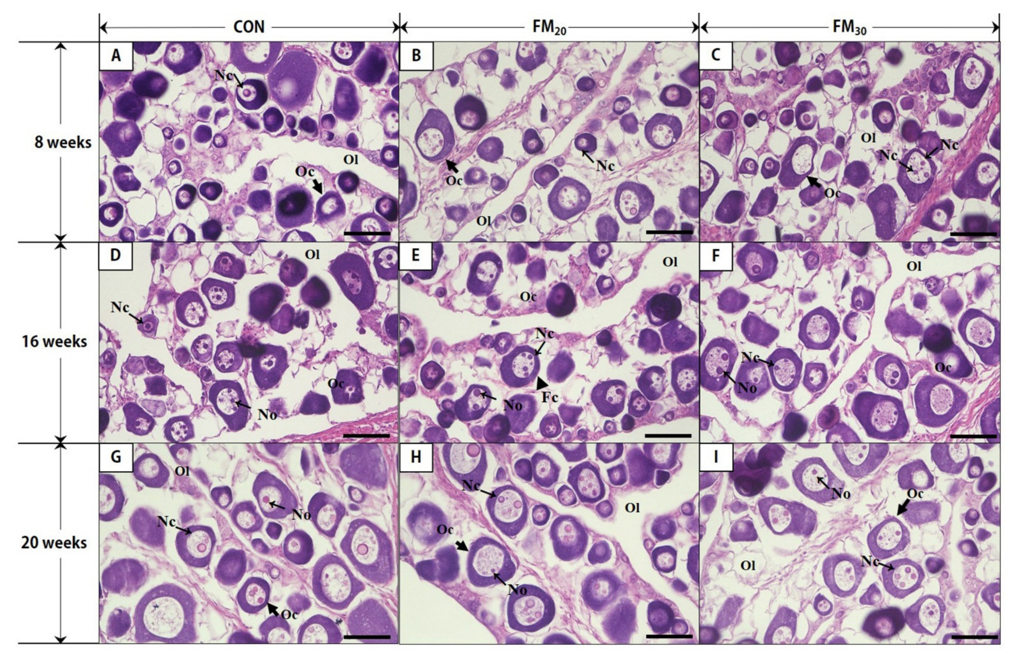 Animals 11 02055 g003