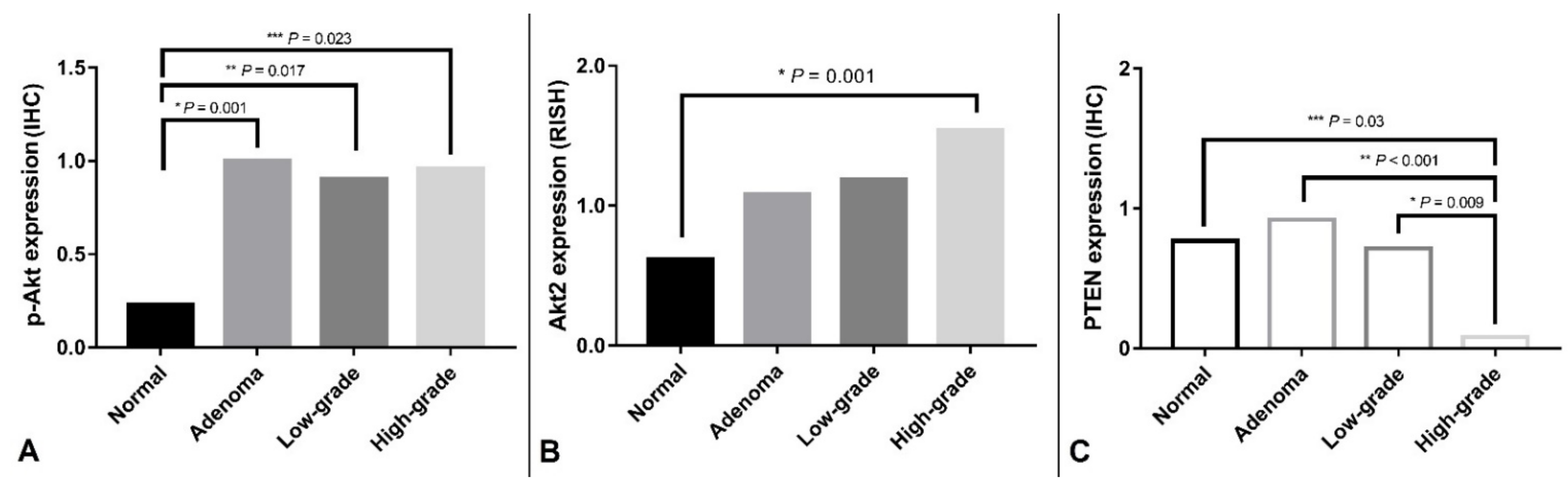Animals 11 02079 g002
