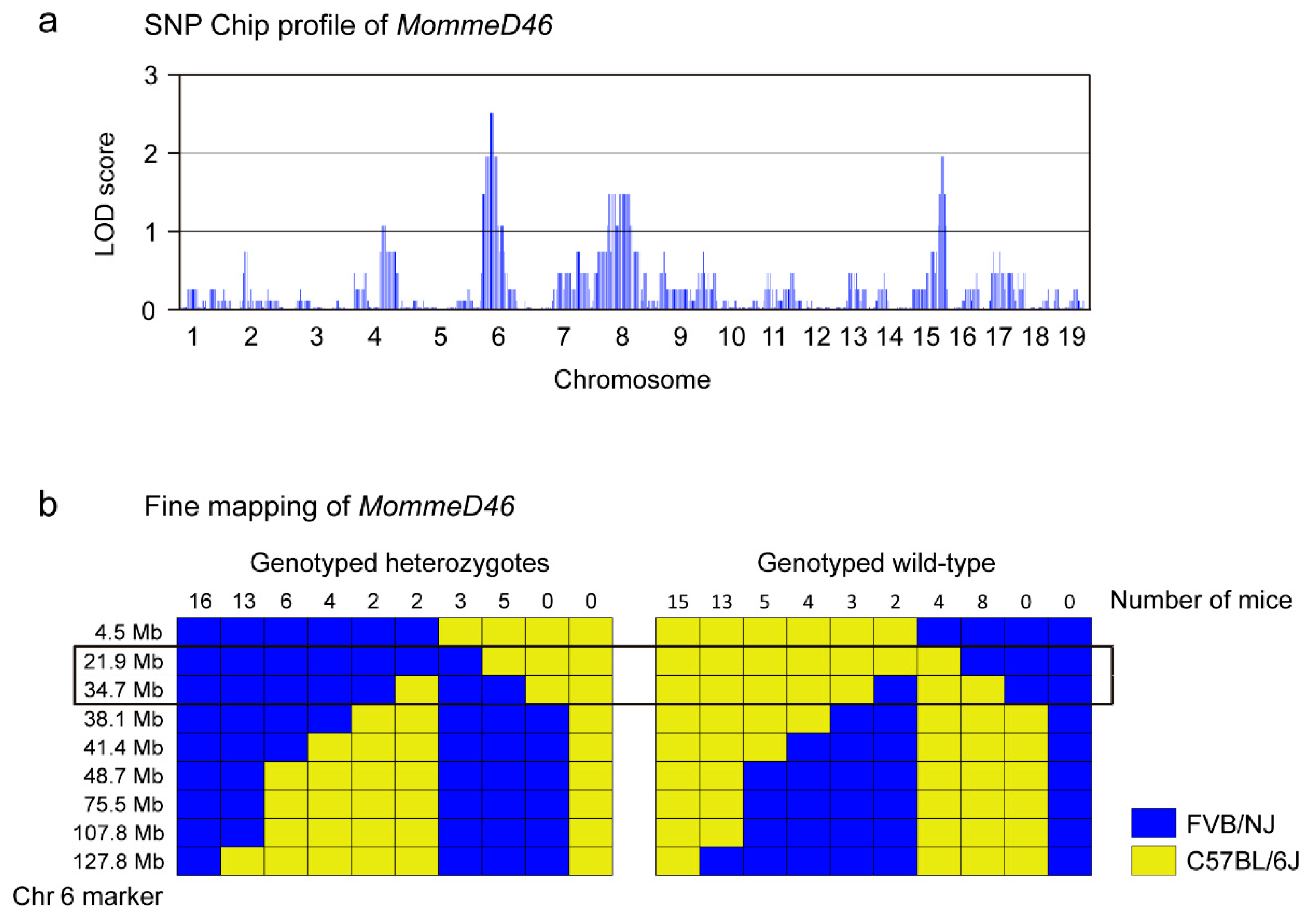 Animals 11 02103 g002