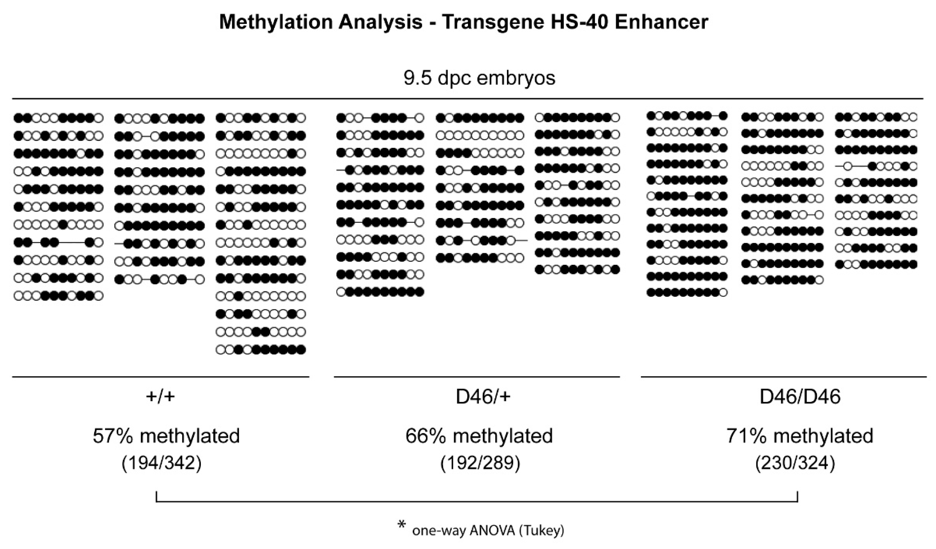 Animals 11 02103 g004