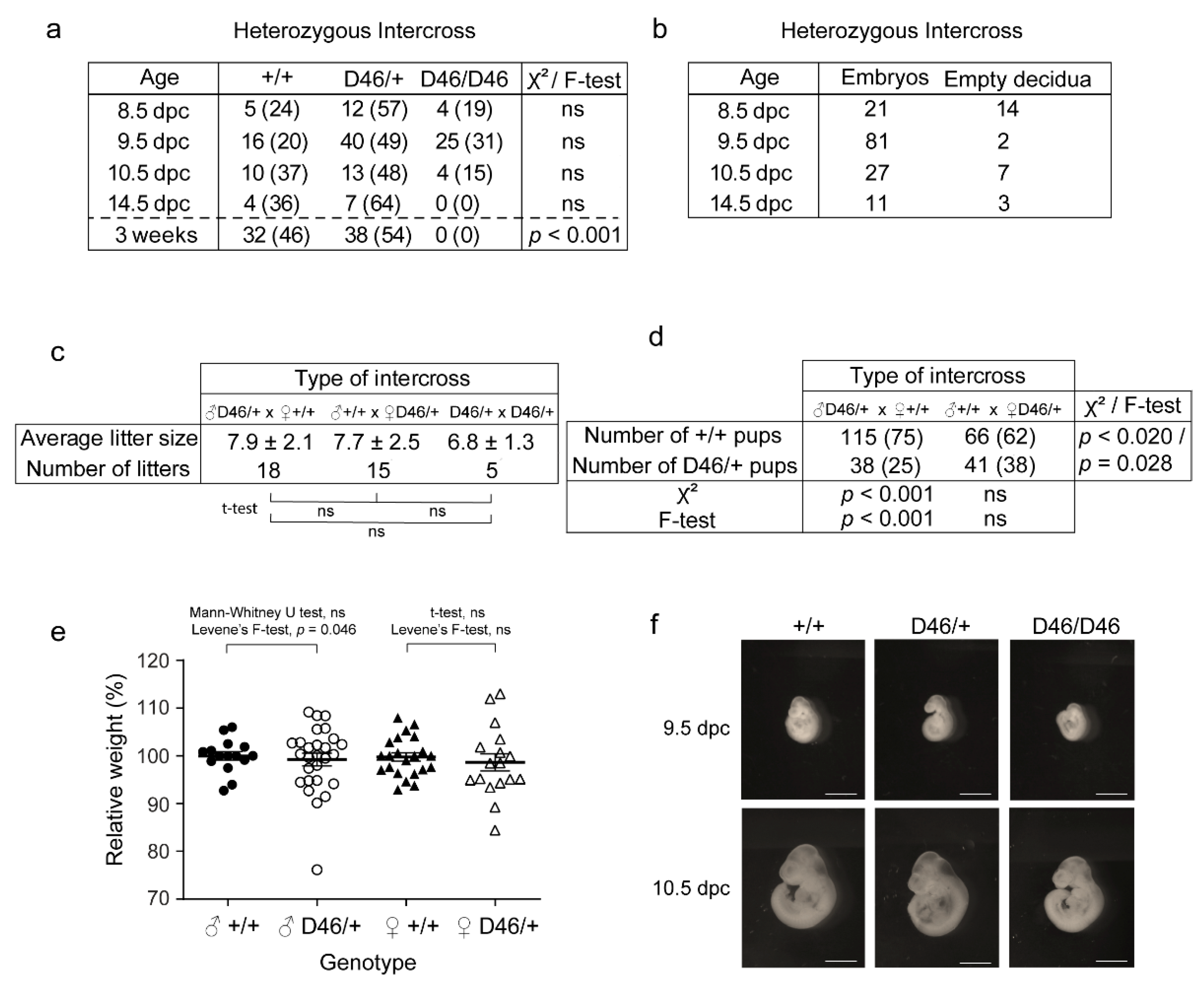 Animals 11 02103 g005