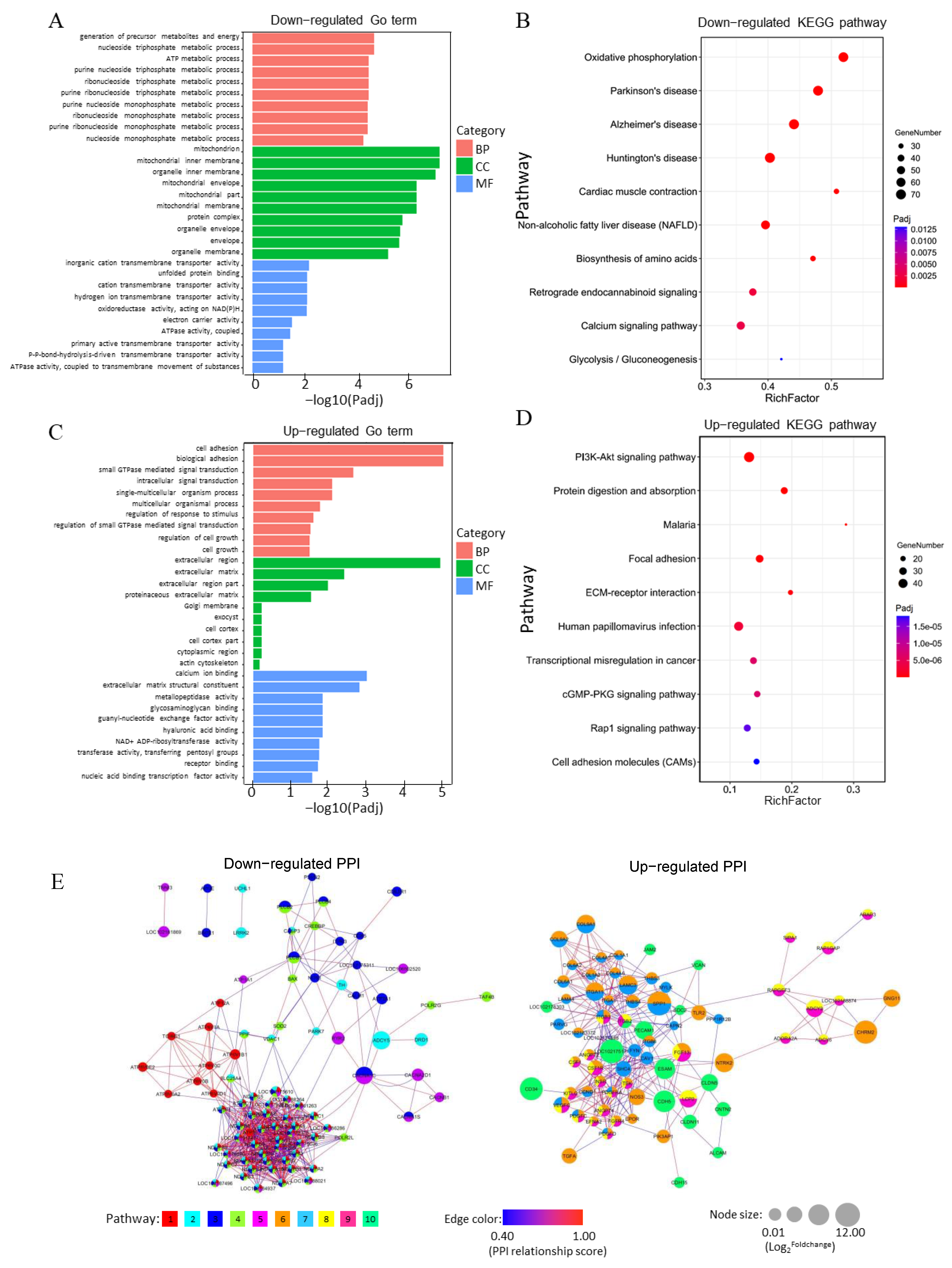 Animals 11 02132 g004