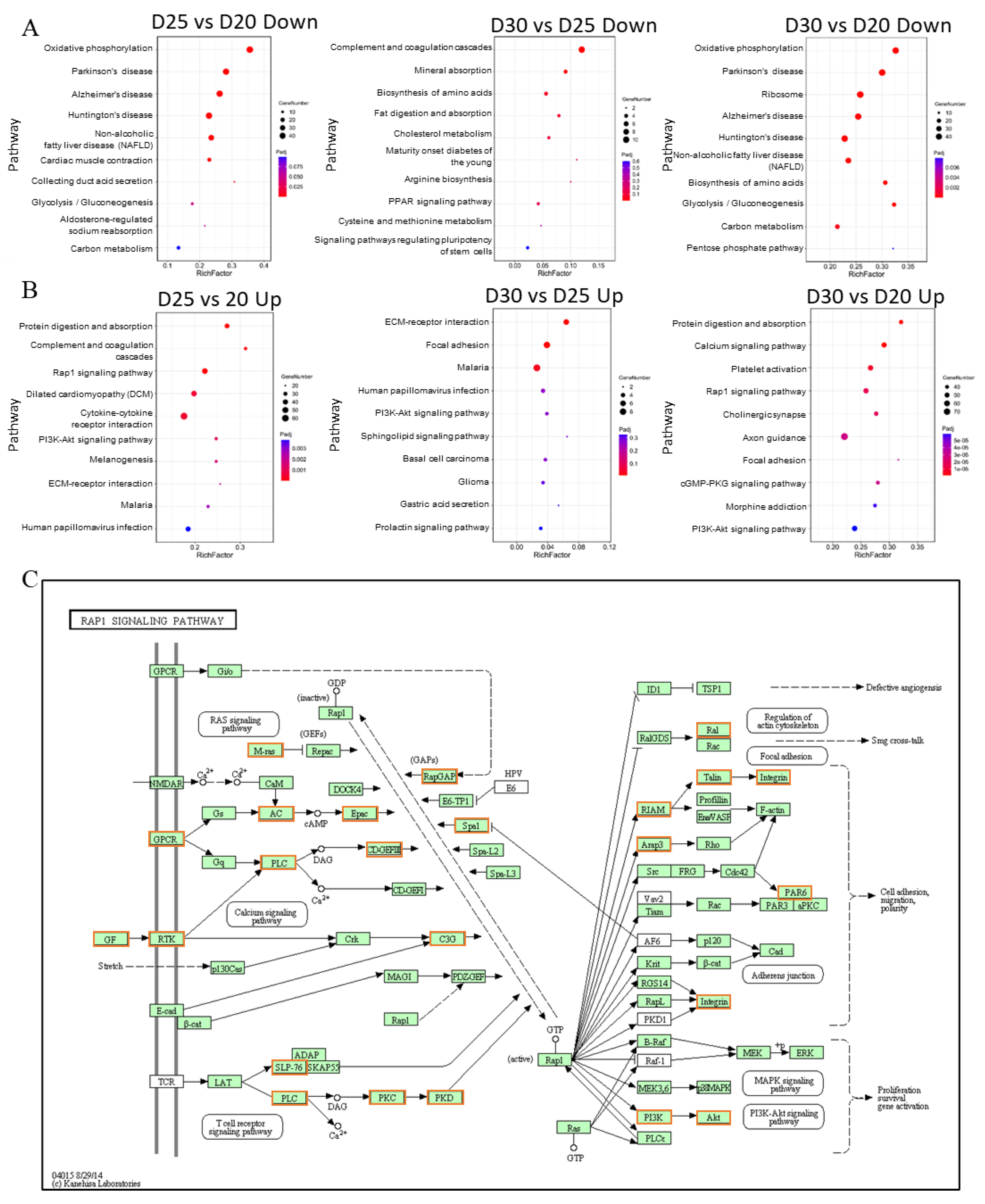 Animals 11 02132 g005