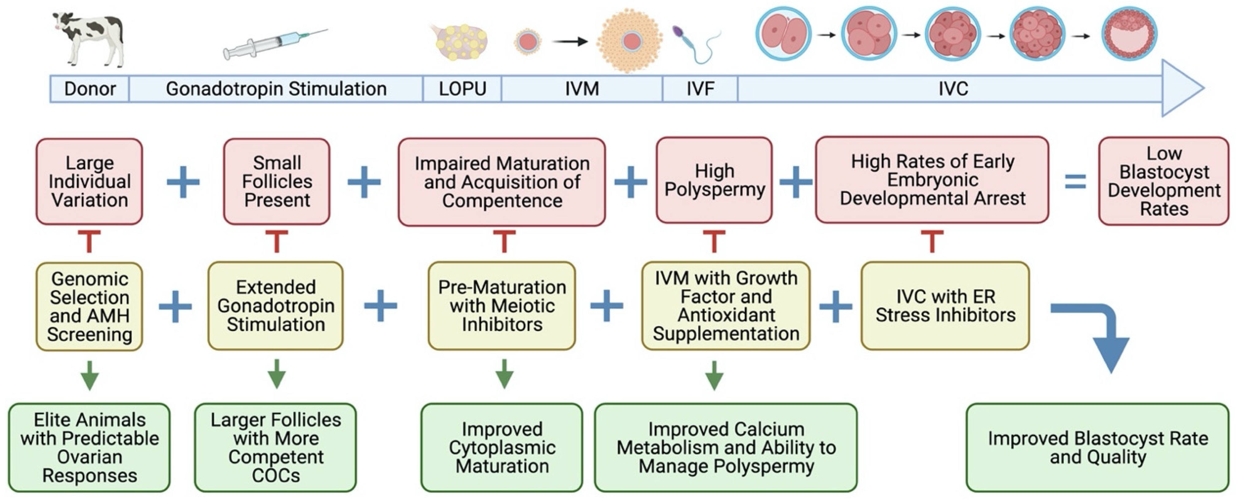 Animals 11 02275 g002 Animals 11 02275 g002