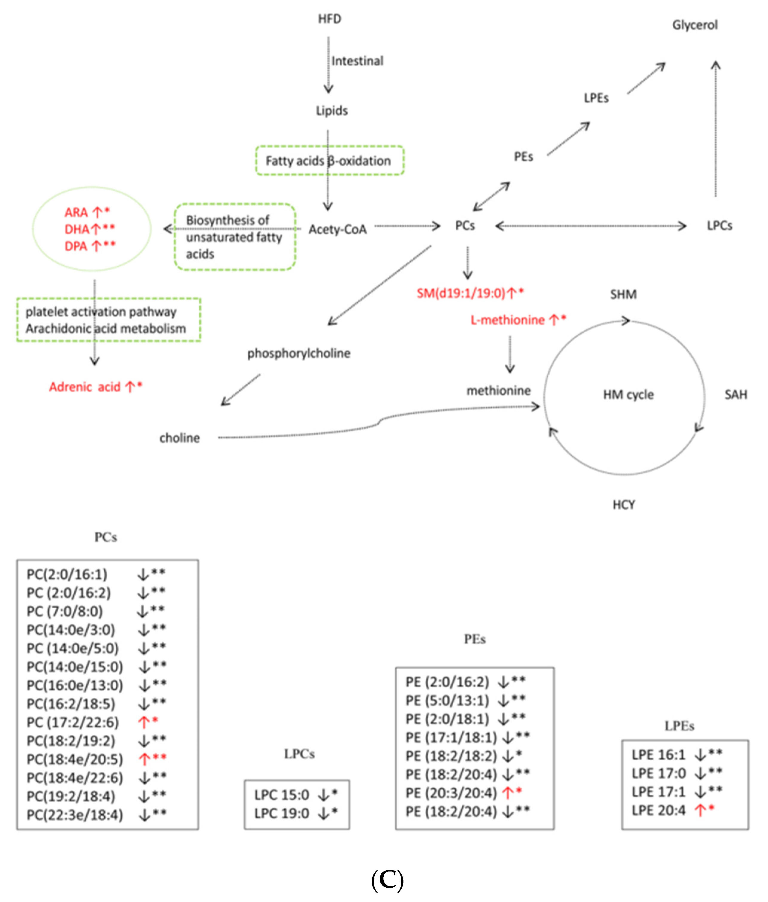 Animals 11 02289 g004b