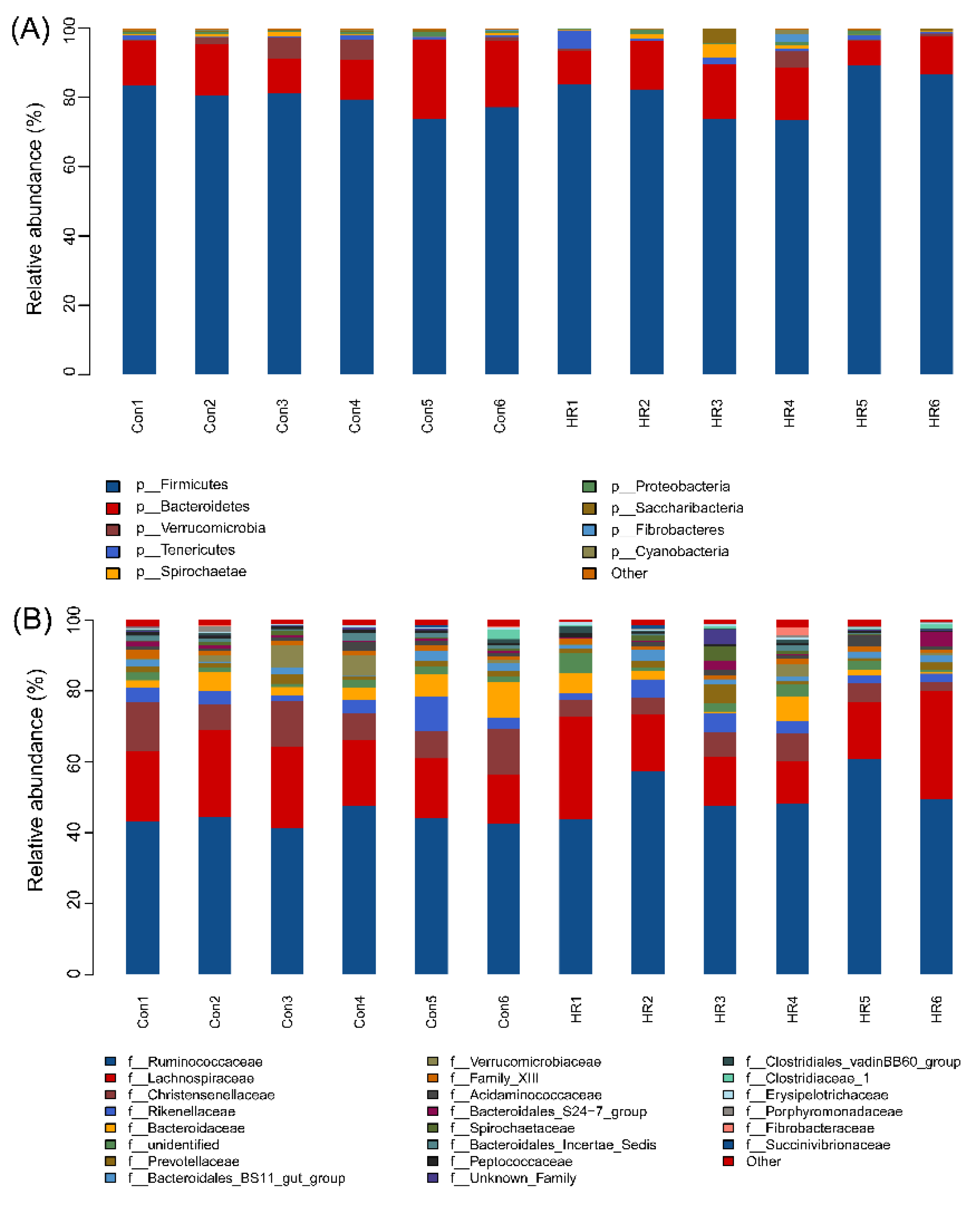 Animals 11 02306 g005