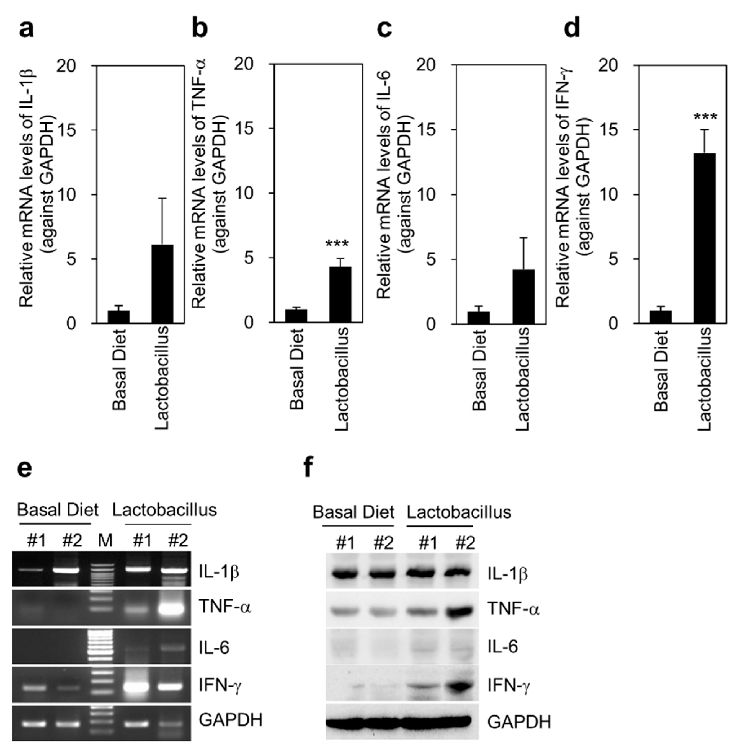 Animals 11 02309 g004 Animals 11 02309 g004