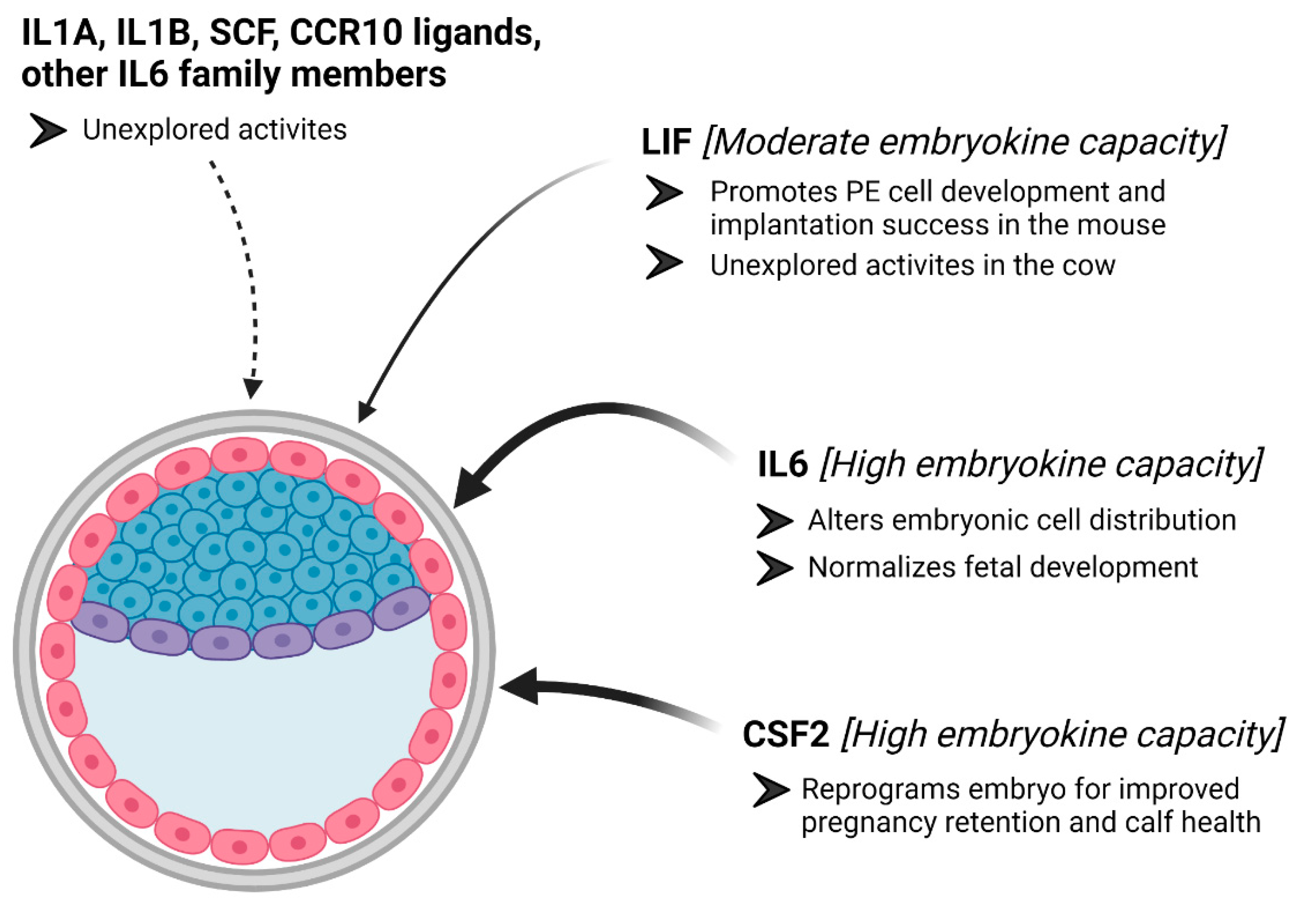Animals 11 02313 g002
