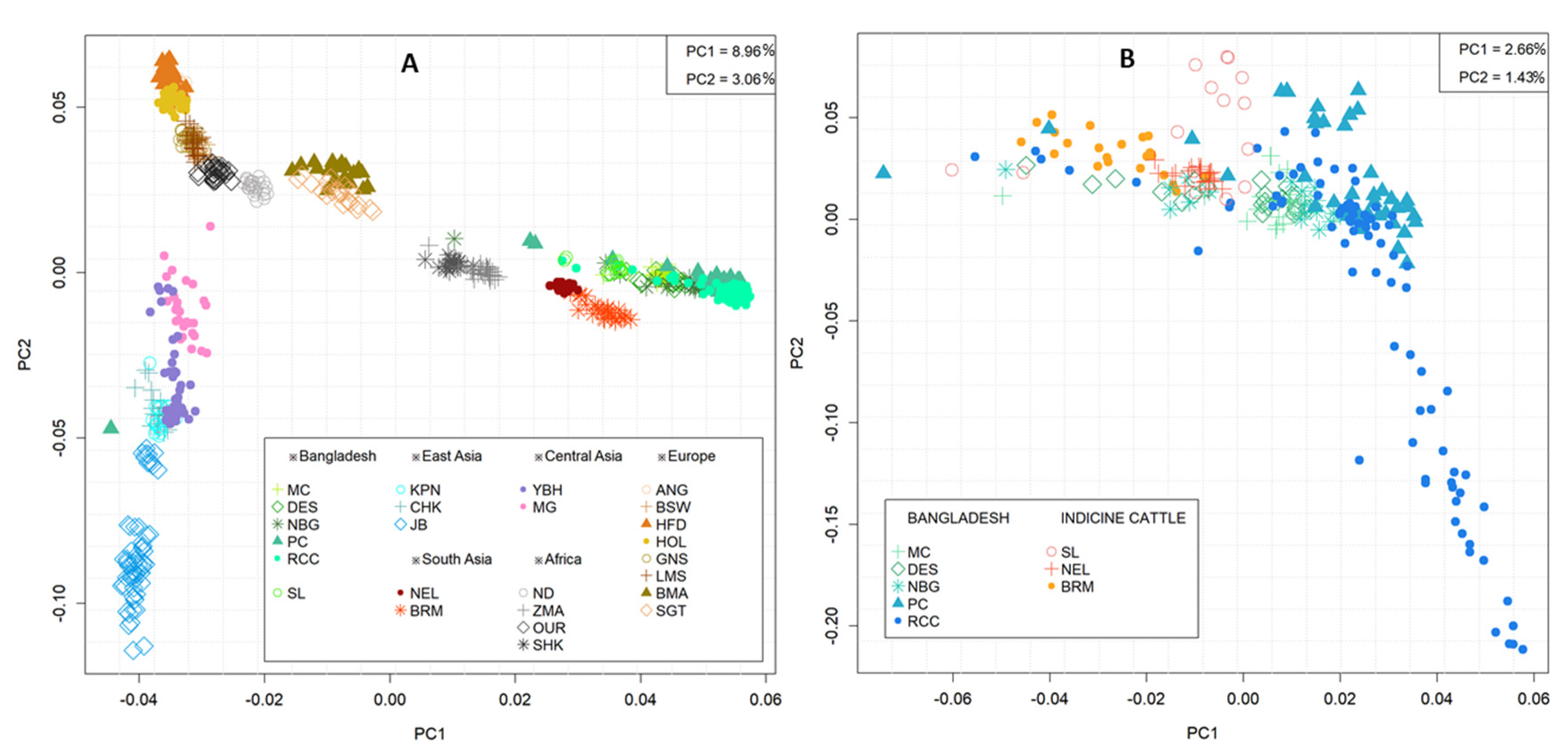 Animals 11 02381 g002
