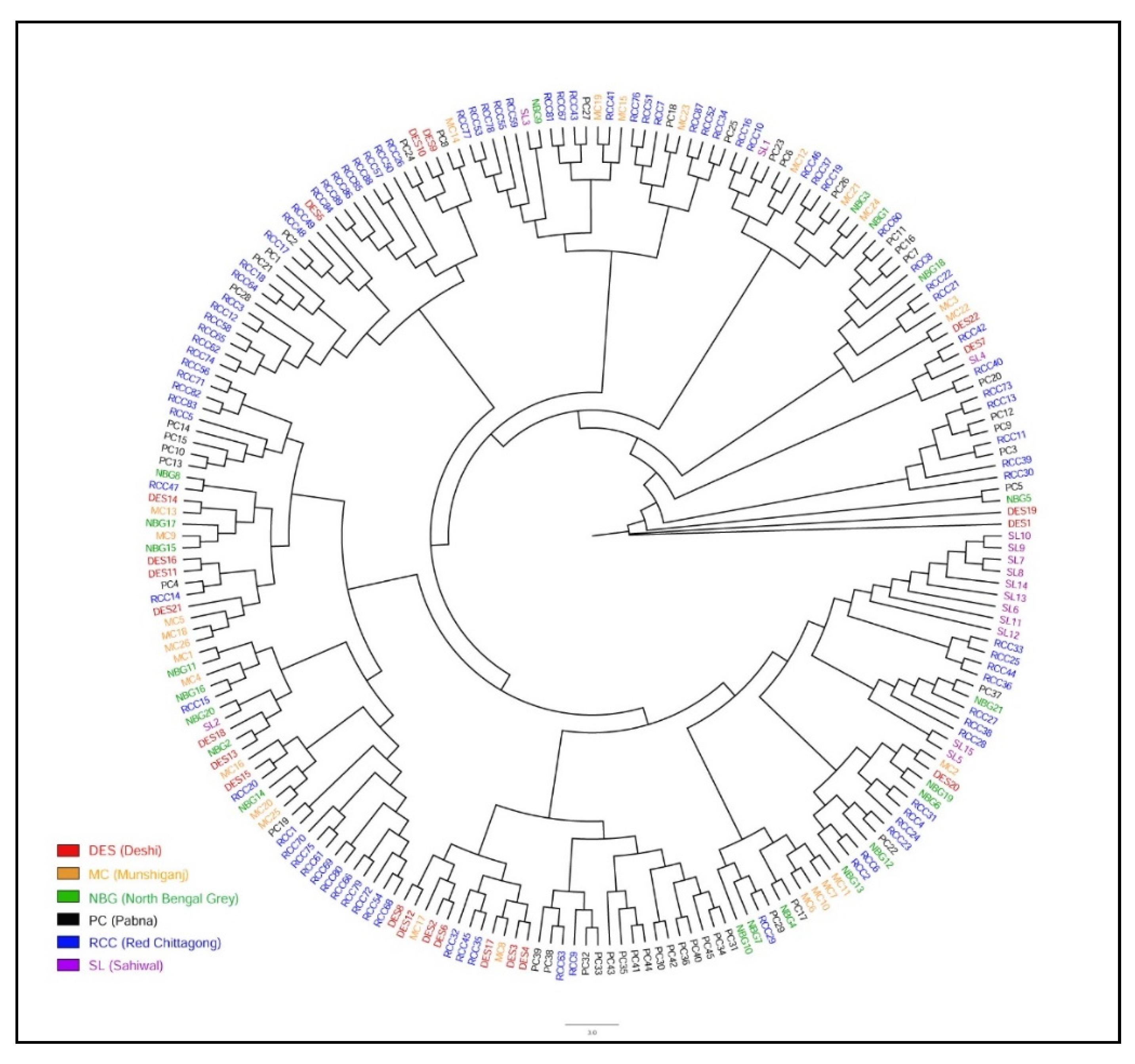 Animals 11 02381 g005
