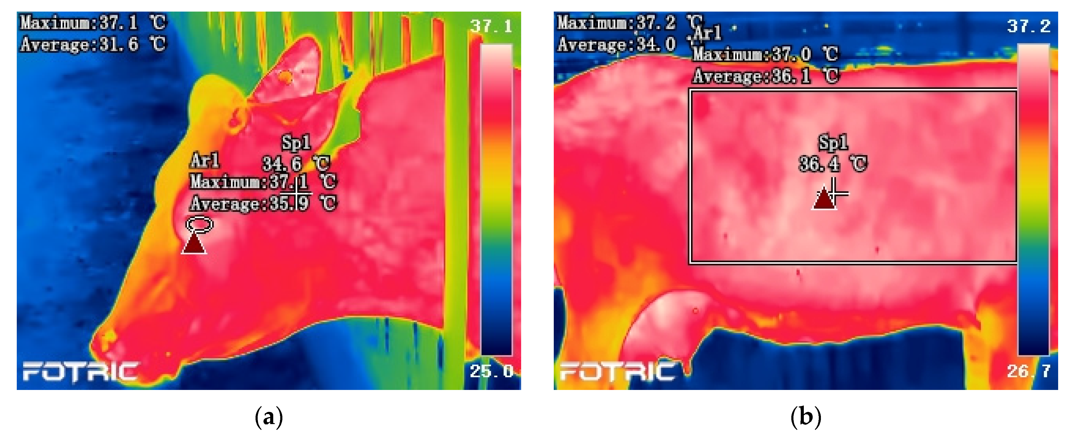 Animals 11 02459 g002