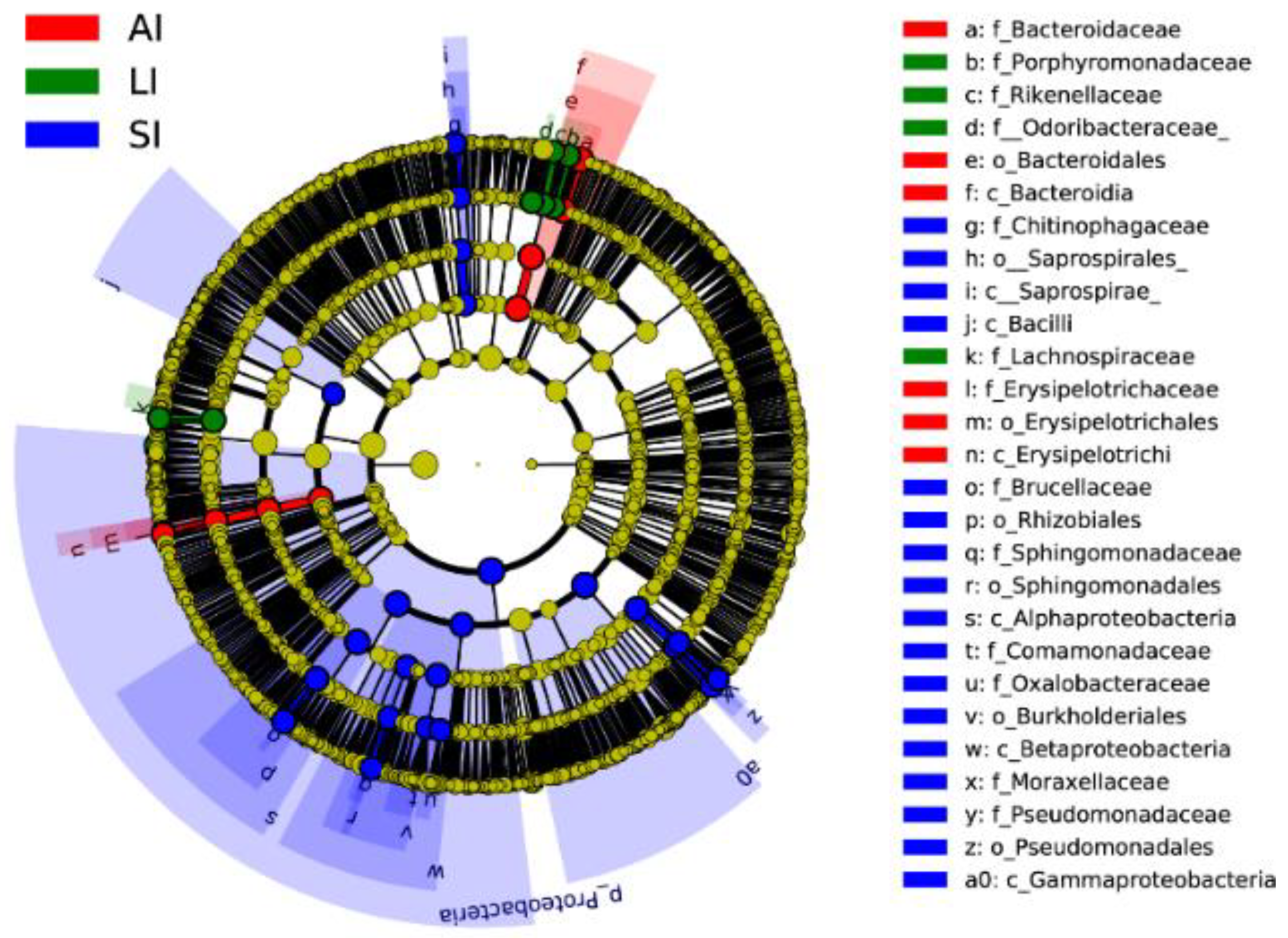 Animals Free Full Text Environment Dependent Variation In Gut Microbiota Of An Oviparous Lizard Calotes Versicolor Html