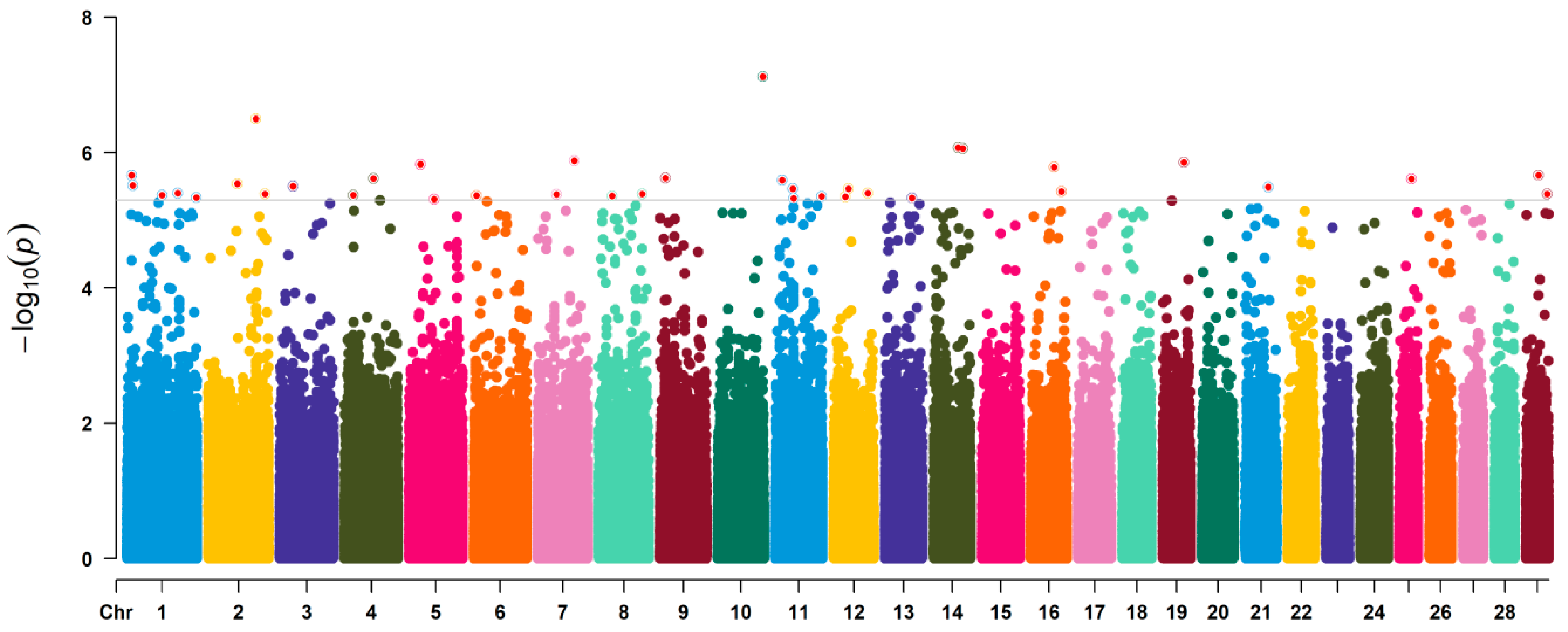 Animals 11 02524 g003